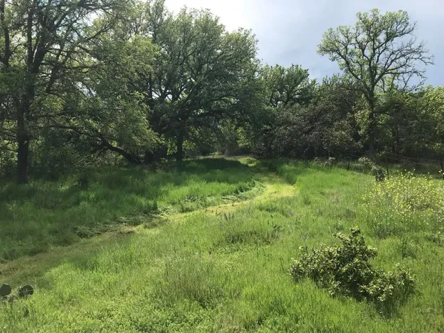 a view of a pathway of a yard with a lake view