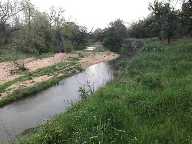 a view of a garden with a lot of trees