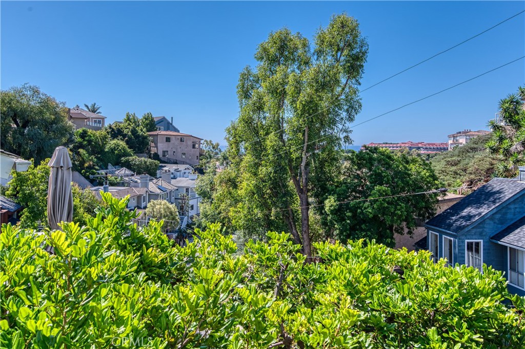 34052 Crystal Lantern Dana Point, CA 92629 - Photo 18 of 42 a backyard of a house with lots of green space