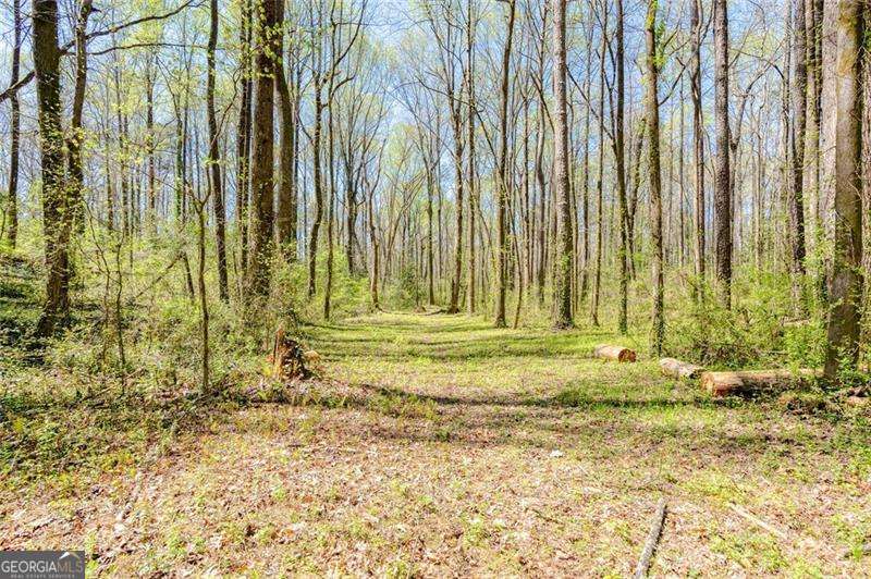 959 Old Milford Church Road Southwest Marietta, GA 30060 - Photo 30 of 45