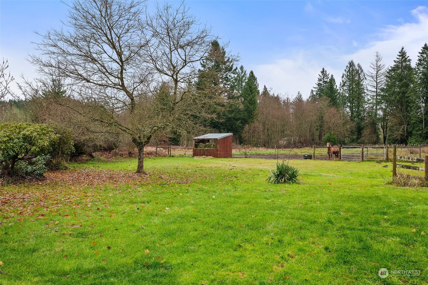 173 Jorgensen Road Onalaska, WA 98570 - Photo 8 of 32 Gallery Image 8