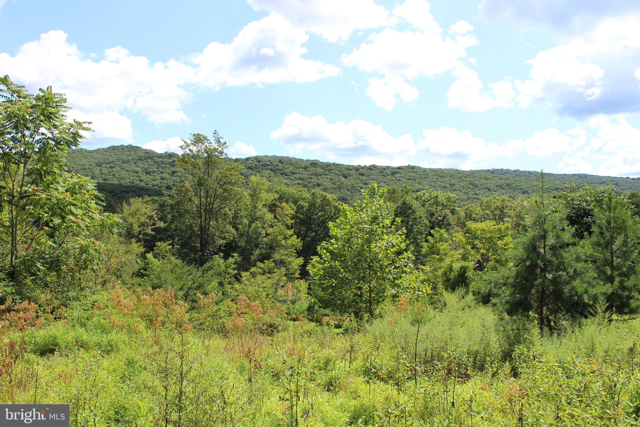 Lot 6 Cresap Mill Road Southeast Oldtown, MD 21555 - Photo 1 of 52