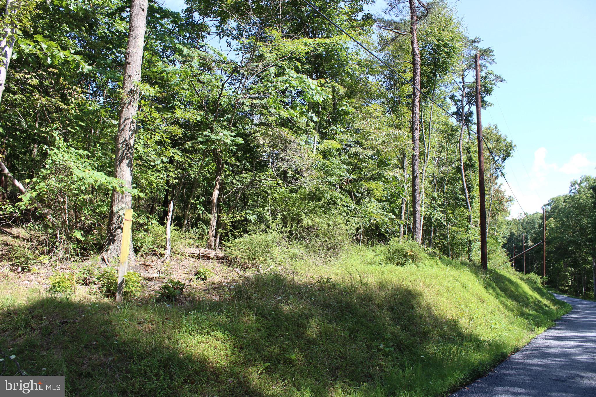 Lot 6 Cresap Mill Road Southeast Oldtown, MD 21555 - Photo 2 of 52