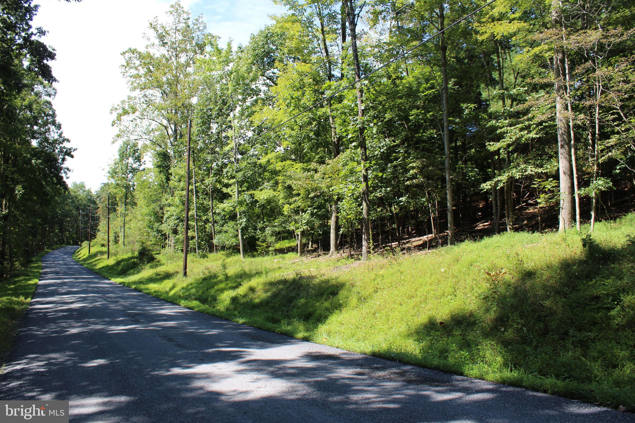 Lot 6 Cresap Mill Road Southeast Oldtown, MD 21555 - Photo 11 of 52