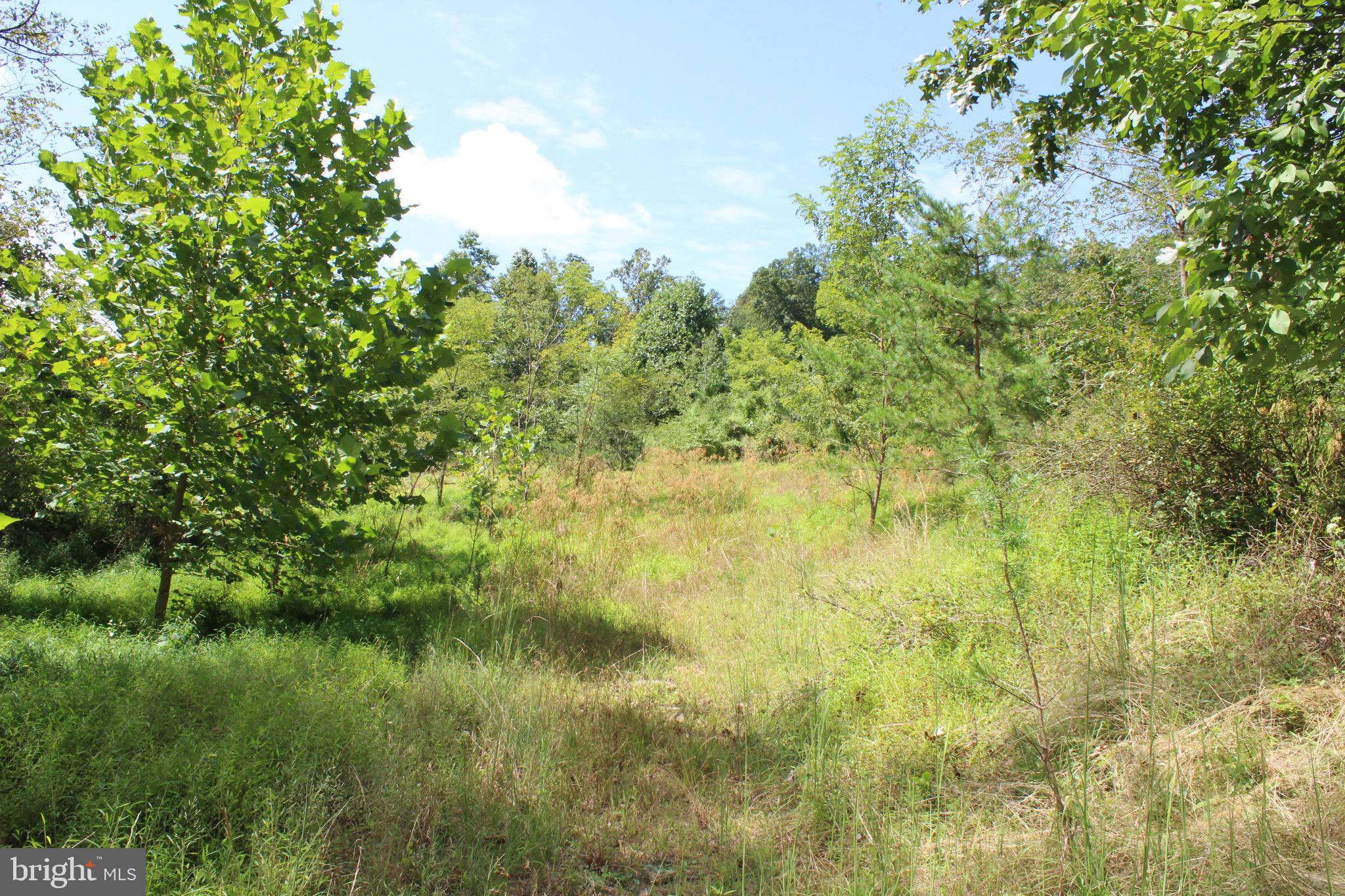 Lot 6 Cresap Mill Road Southeast Oldtown, MD 21555 - Photo 13 of 52