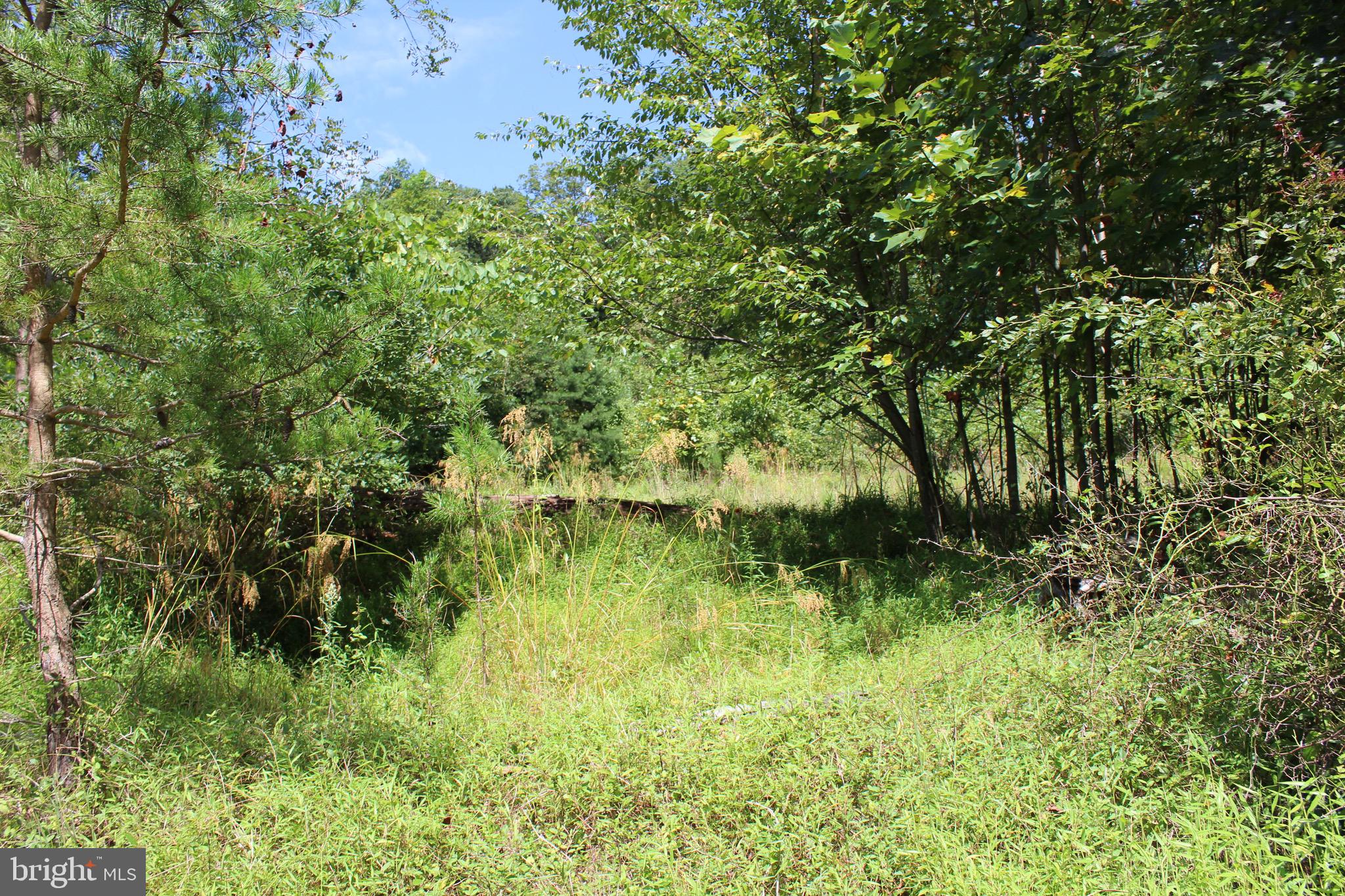 Lot 6 Cresap Mill Road Southeast Oldtown, MD 21555 - Photo 14 of 52