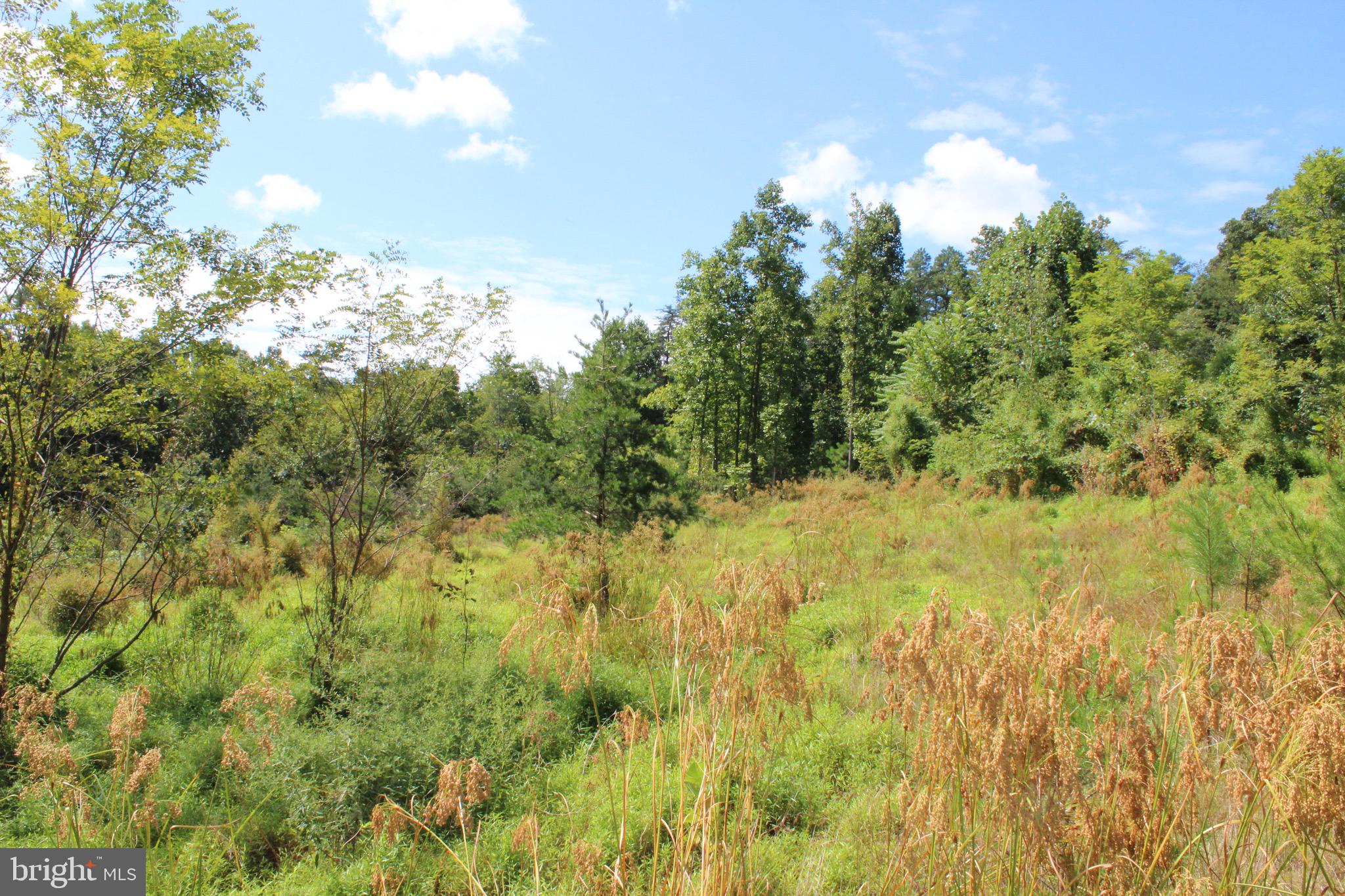 Lot 6 Cresap Mill Road Southeast Oldtown, MD 21555 - Photo 15 of 52