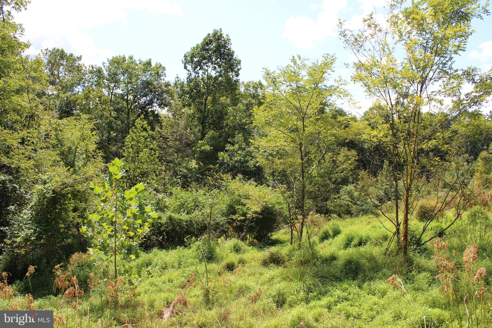 Lot 6 Cresap Mill Road Southeast Oldtown, MD 21555 - Photo 16 of 52