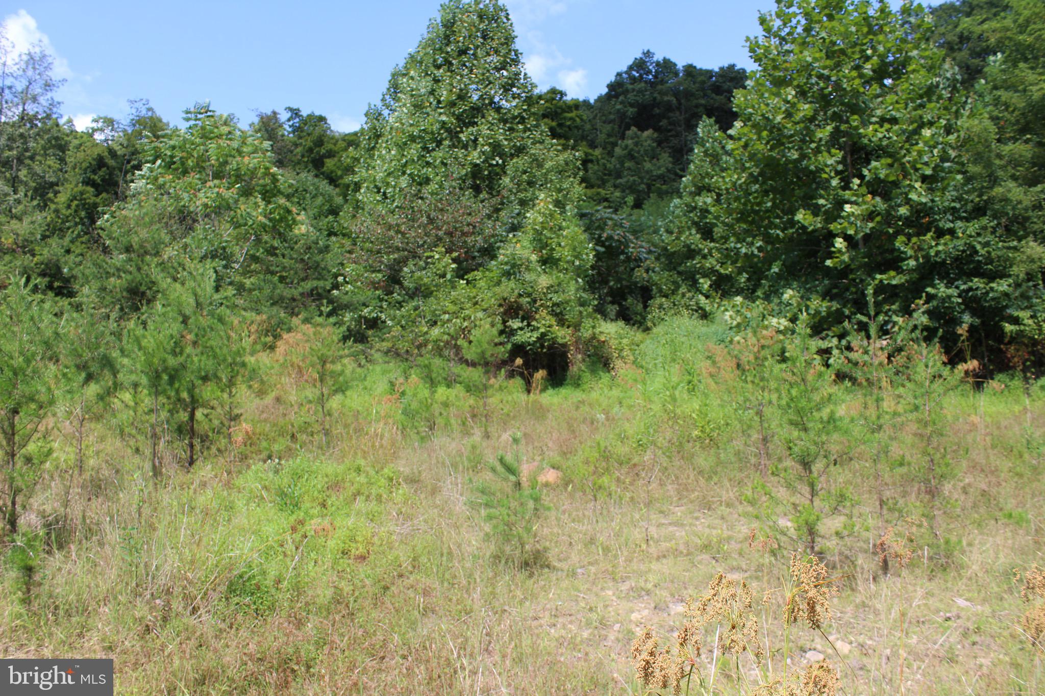 Lot 6 Cresap Mill Road Southeast Oldtown, MD 21555 - Photo 17 of 52