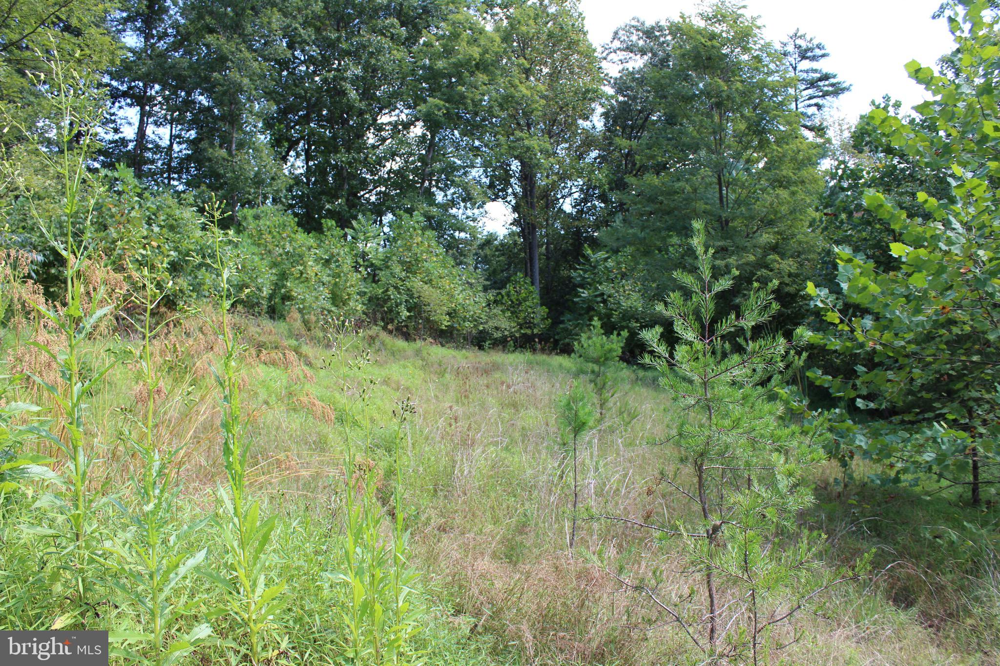 Lot 6 Cresap Mill Road Southeast Oldtown, MD 21555 - Photo 18 of 52