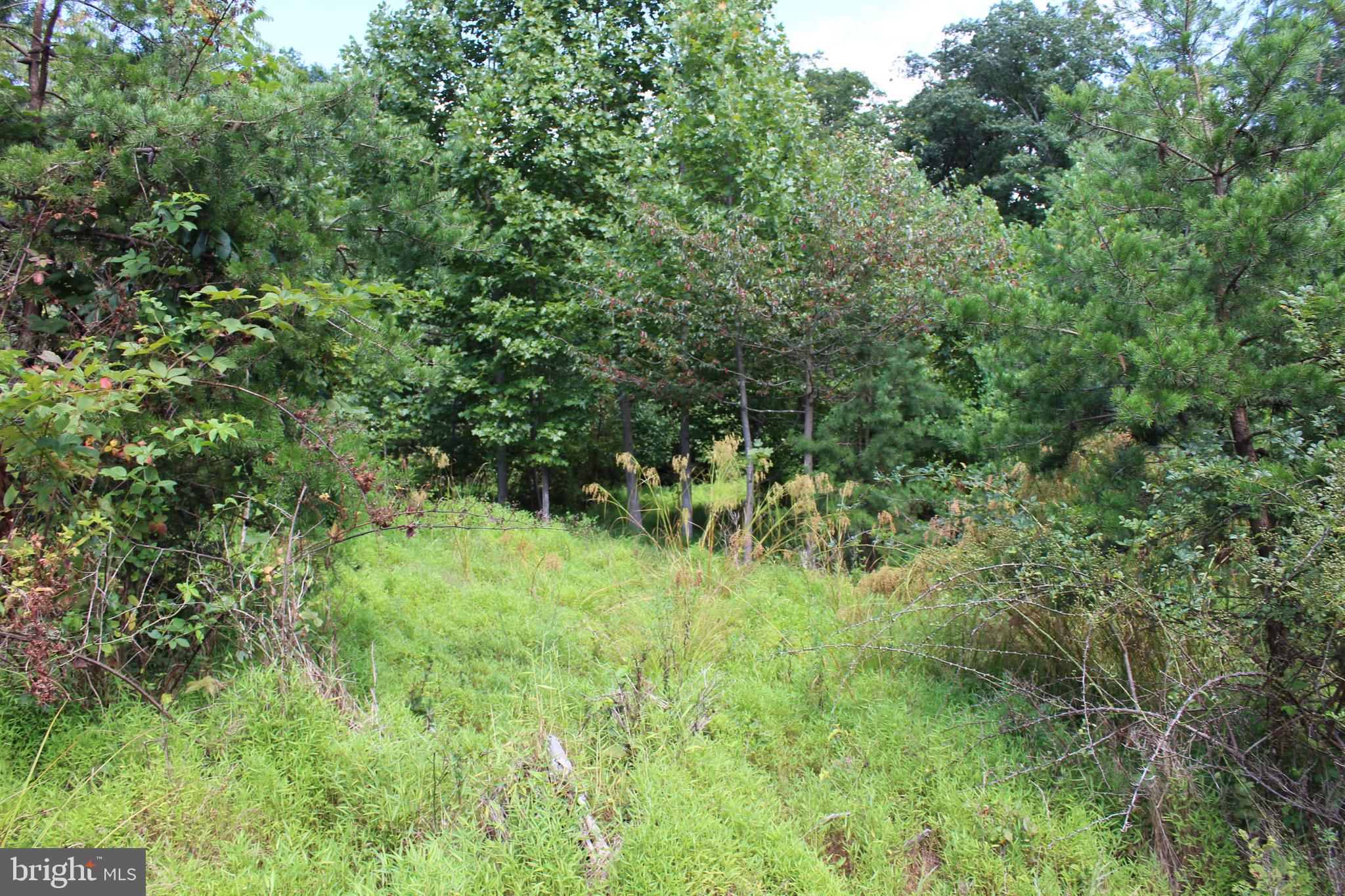 Lot 6 Cresap Mill Road Southeast Oldtown, MD 21555 - Photo 19 of 52