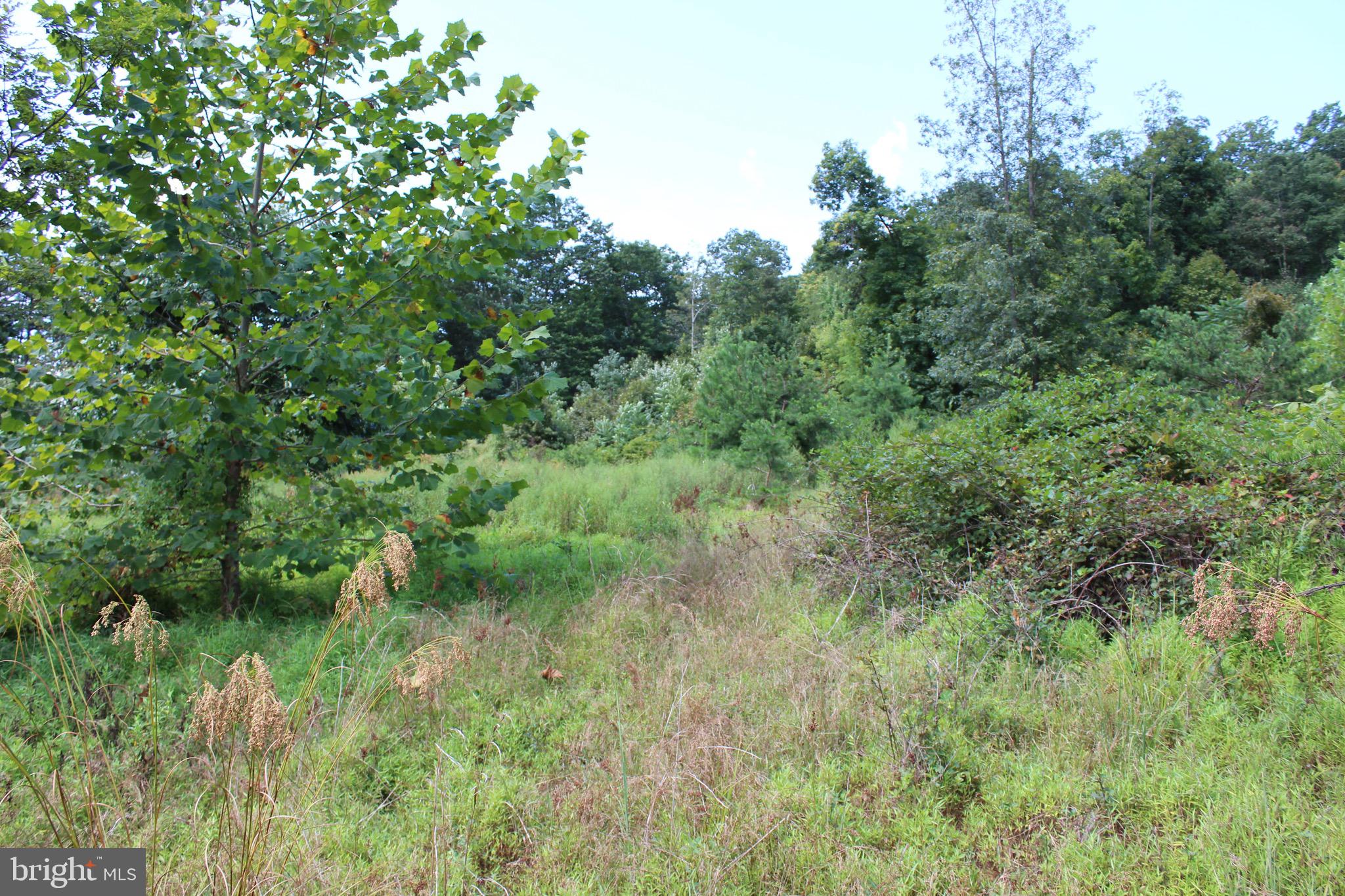 Lot 6 Cresap Mill Road Southeast Oldtown, MD 21555 - Photo 20 of 52