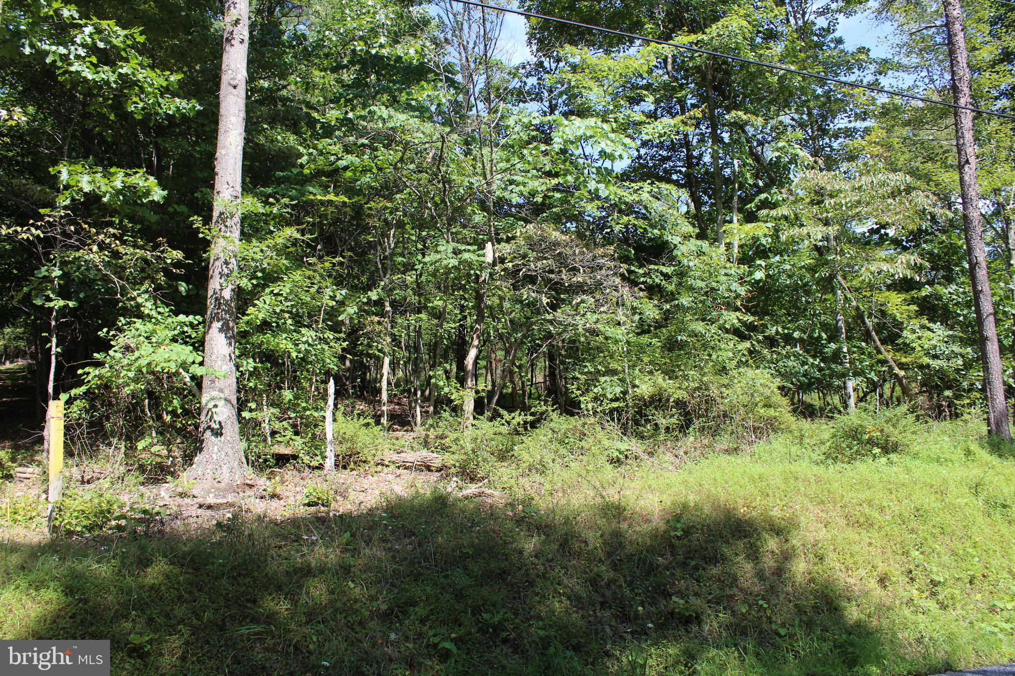 Lot 6 Cresap Mill Road Southeast Oldtown, MD 21555 - Photo 3 of 52