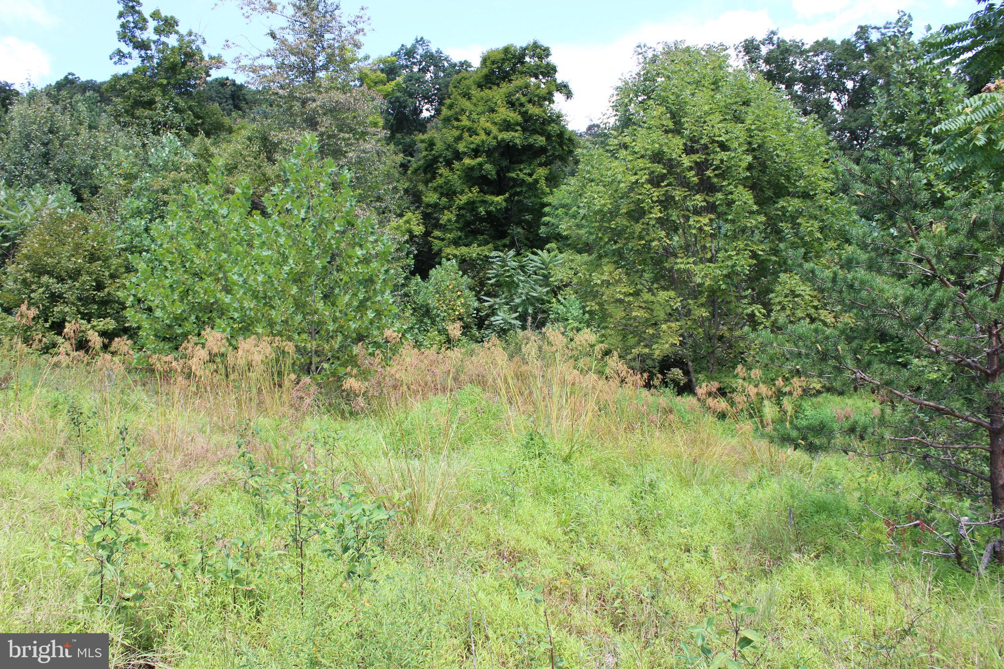 Lot 6 Cresap Mill Road Southeast Oldtown, MD 21555 - Photo 21 of 52