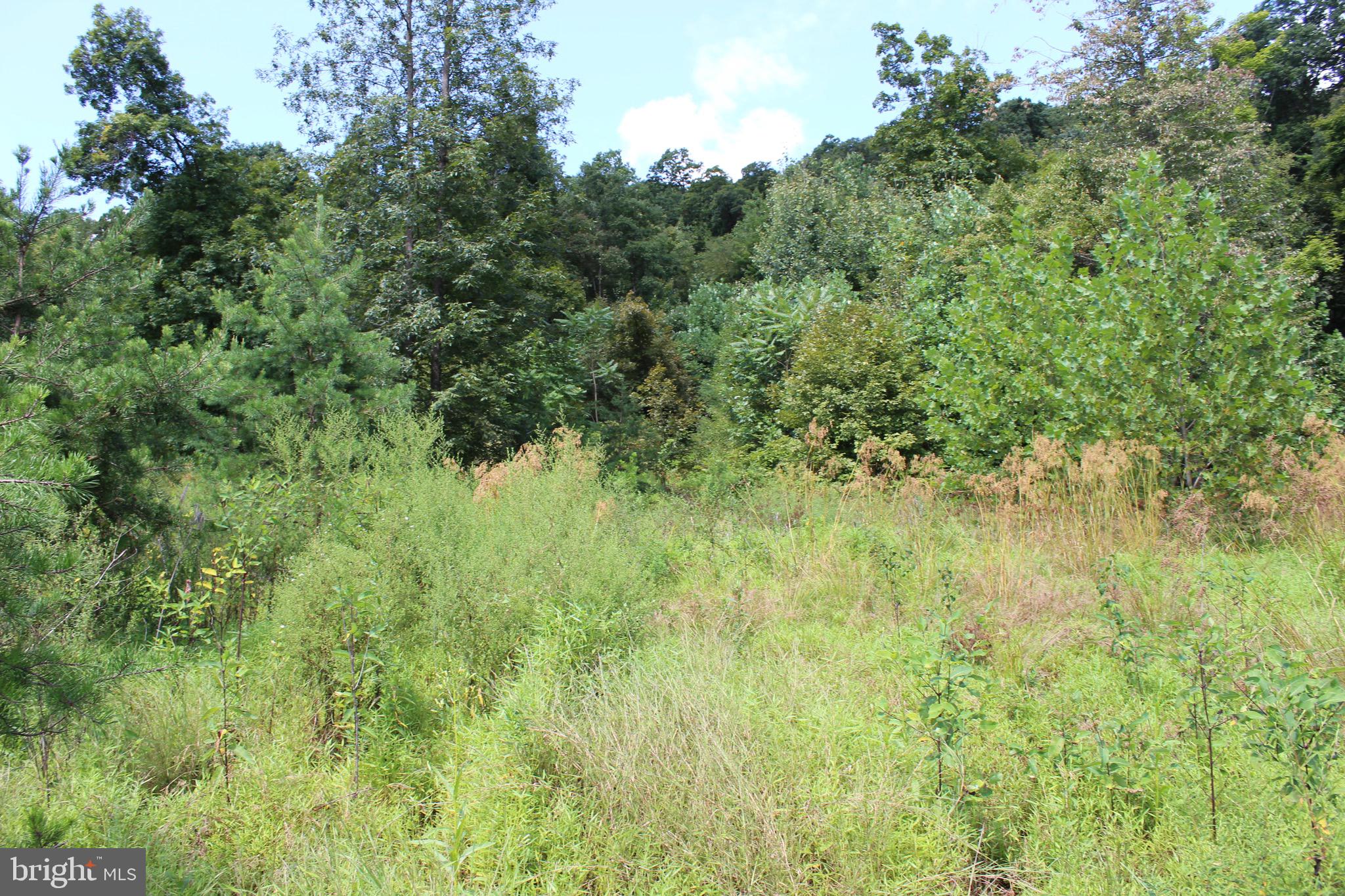 Lot 6 Cresap Mill Road Southeast Oldtown, MD 21555 - Photo 22 of 52