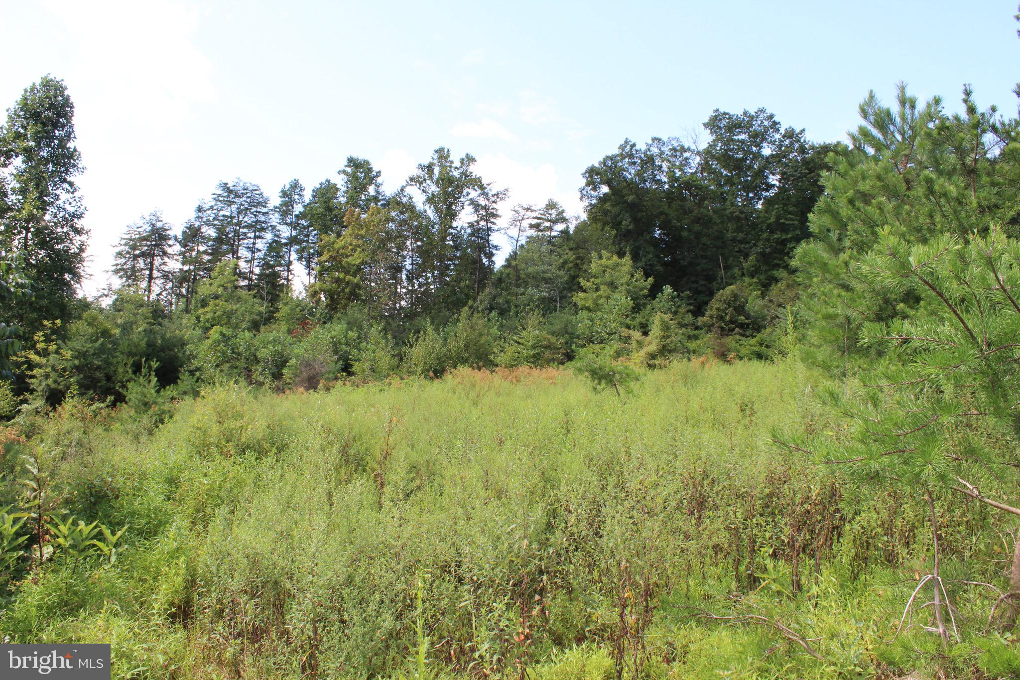 Lot 6 Cresap Mill Road Southeast Oldtown, MD 21555 - Photo 23 of 52