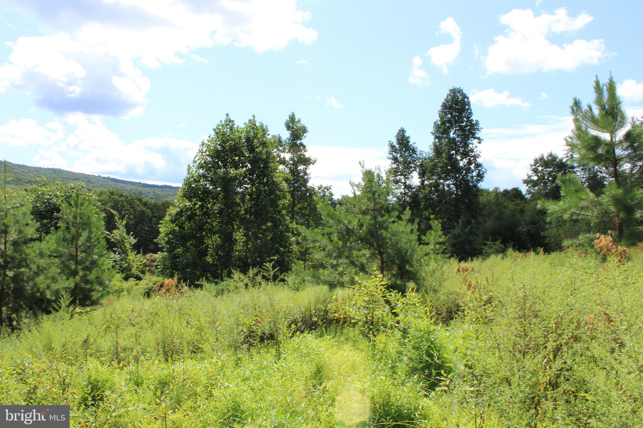 Lot 6 Cresap Mill Road Southeast Oldtown, MD 21555 - Photo 24 of 52