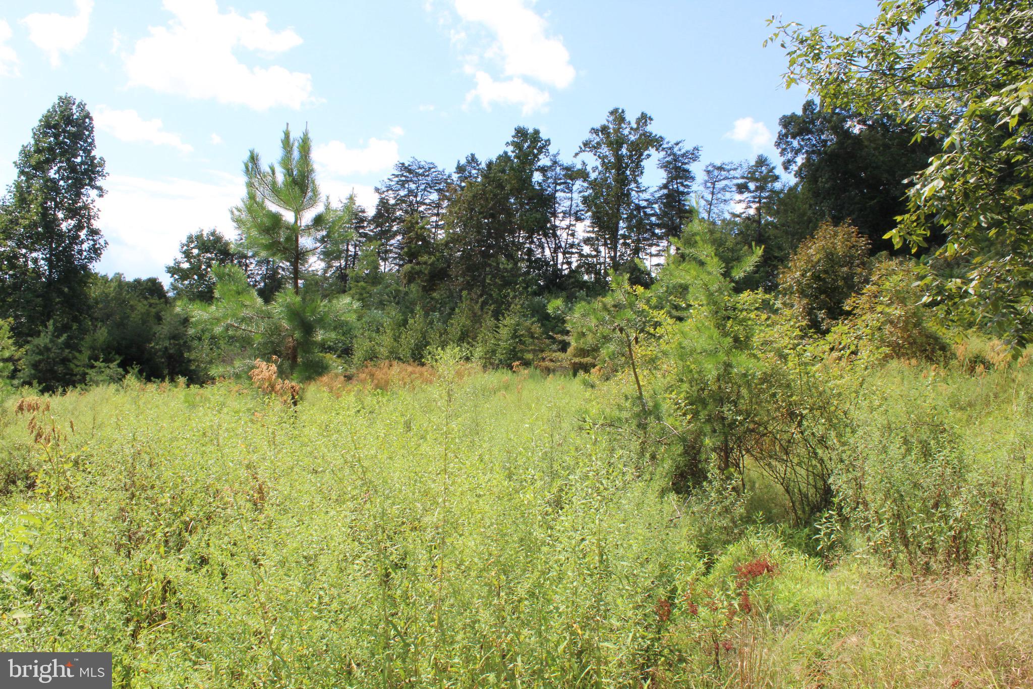 Lot 6 Cresap Mill Road Southeast Oldtown, MD 21555 - Photo 25 of 52