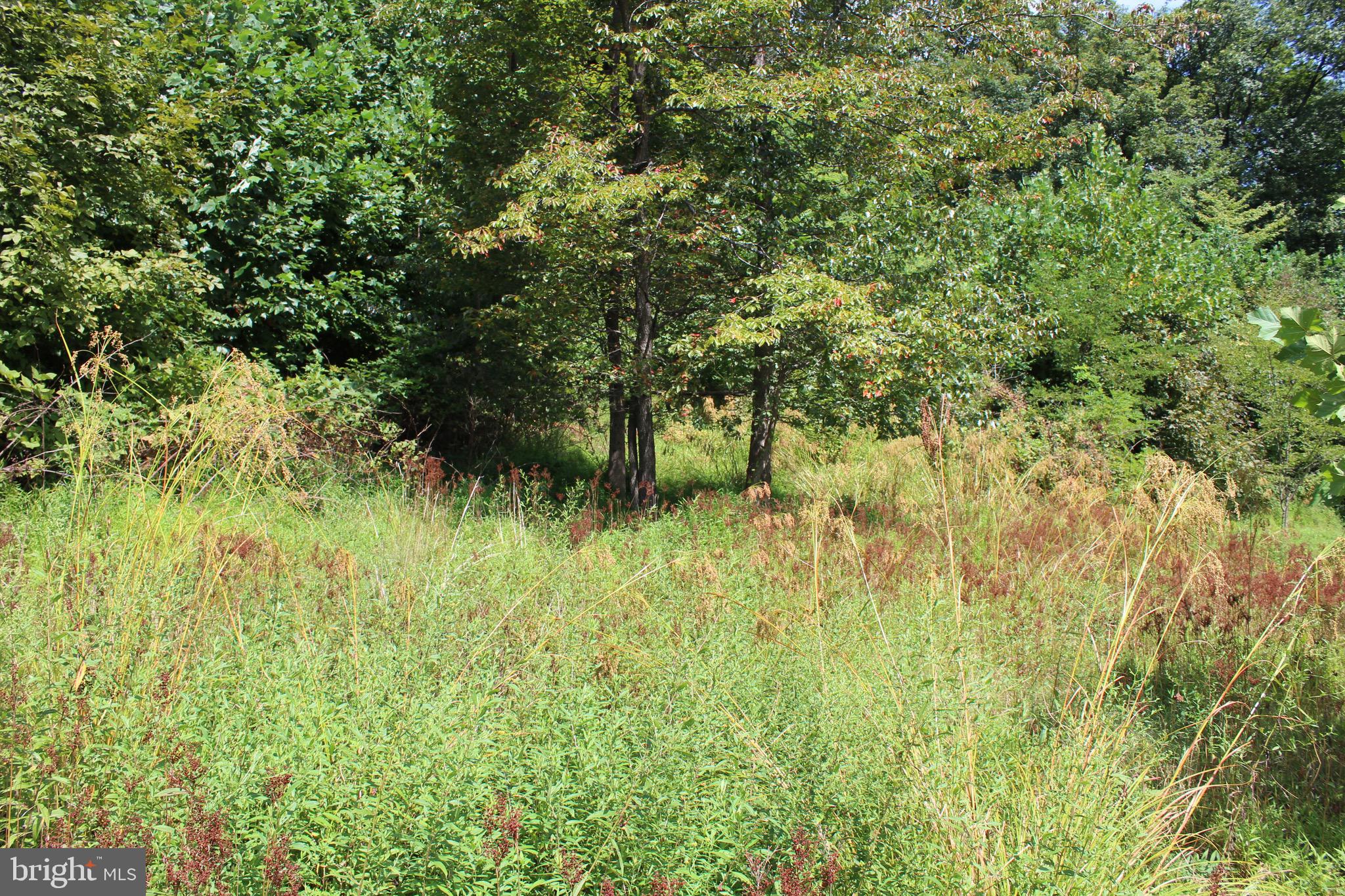 Lot 6 Cresap Mill Road Southeast Oldtown, MD 21555 - Photo 26 of 52