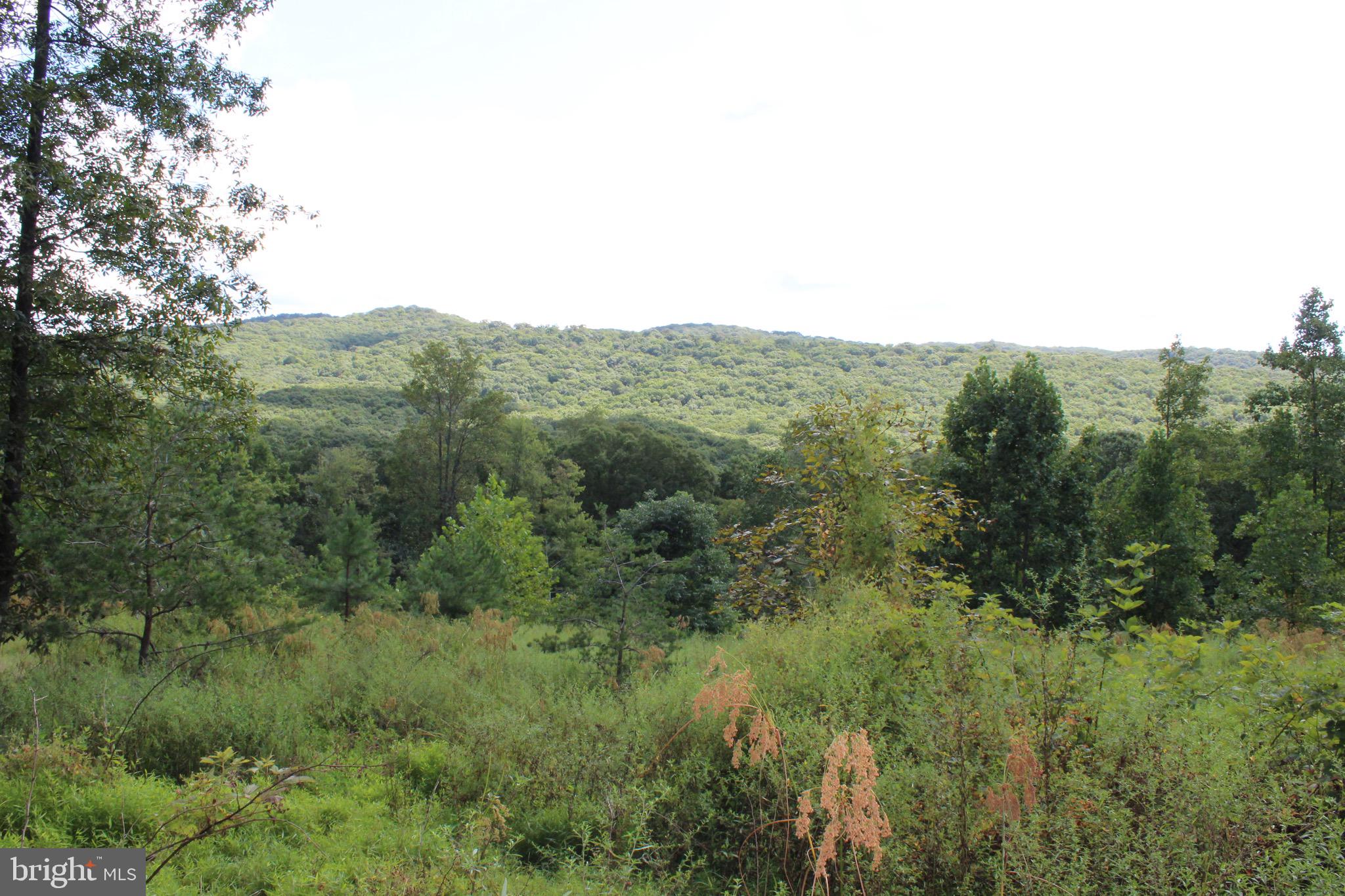 Lot 6 Cresap Mill Road Southeast Oldtown, MD 21555 - Photo 27 of 52