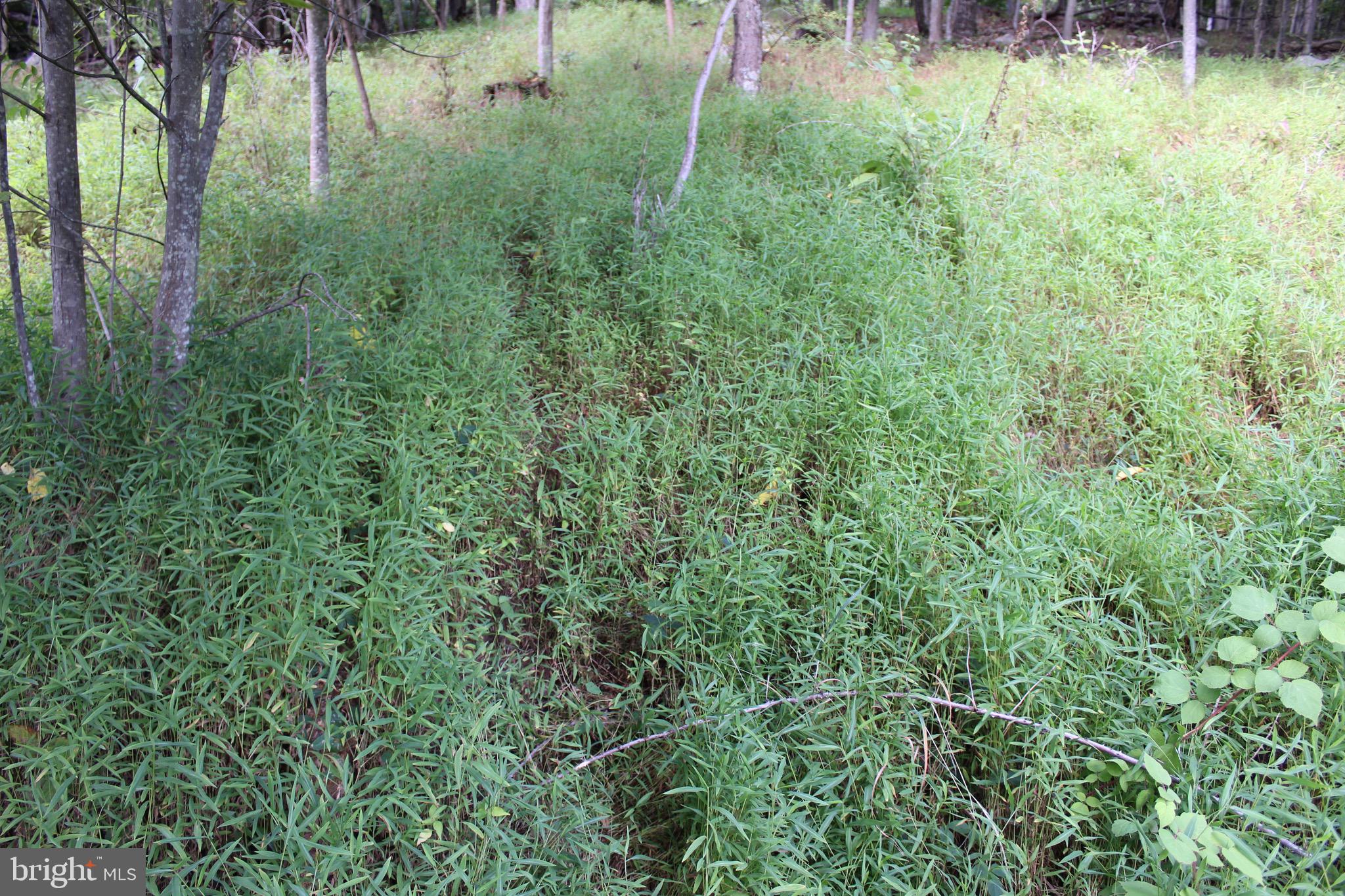 Lot 6 Cresap Mill Road Southeast Oldtown, MD 21555 - Photo 29 of 52