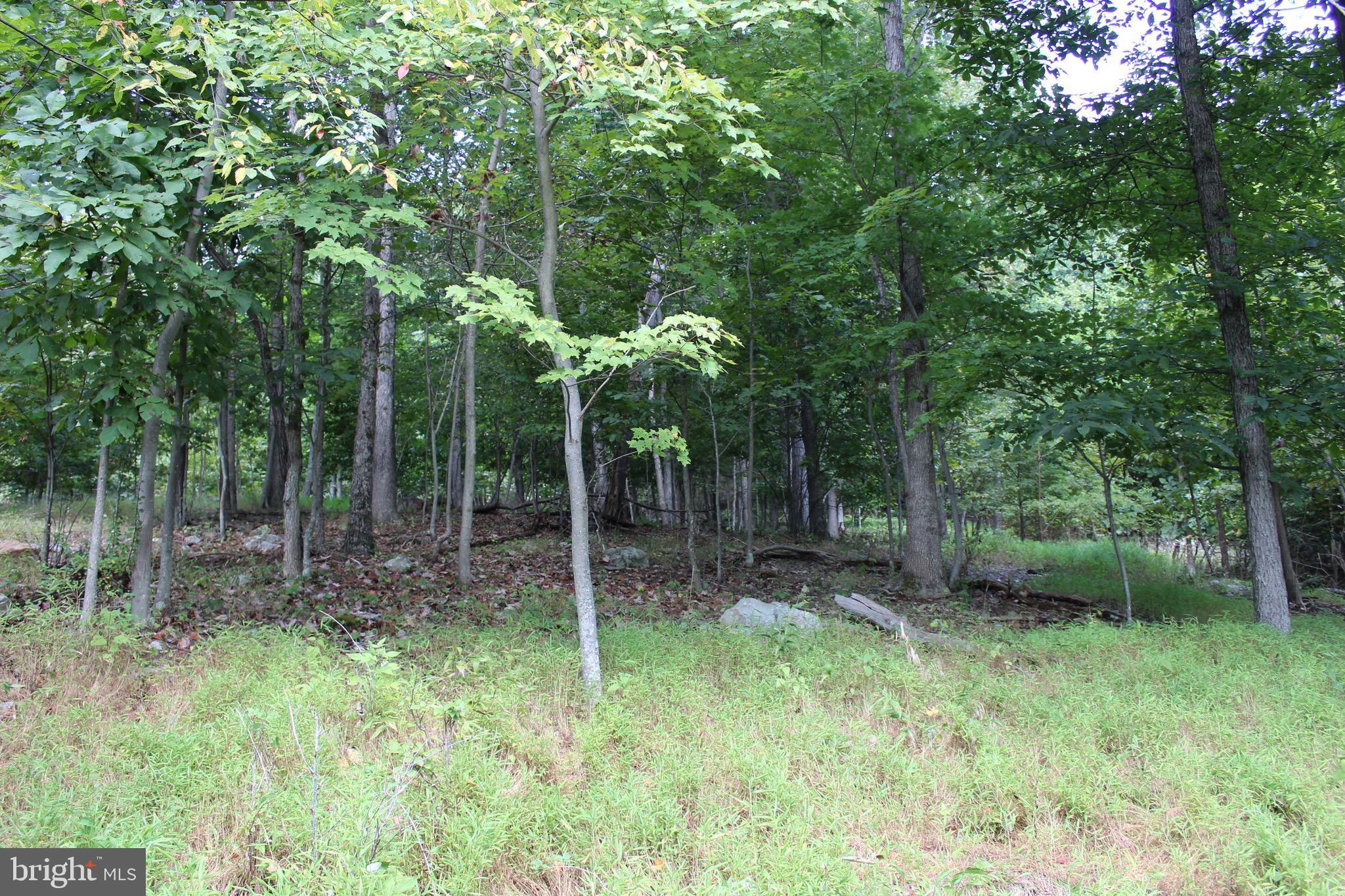 Lot 6 Cresap Mill Road Southeast Oldtown, MD 21555 - Photo 30 of 52
