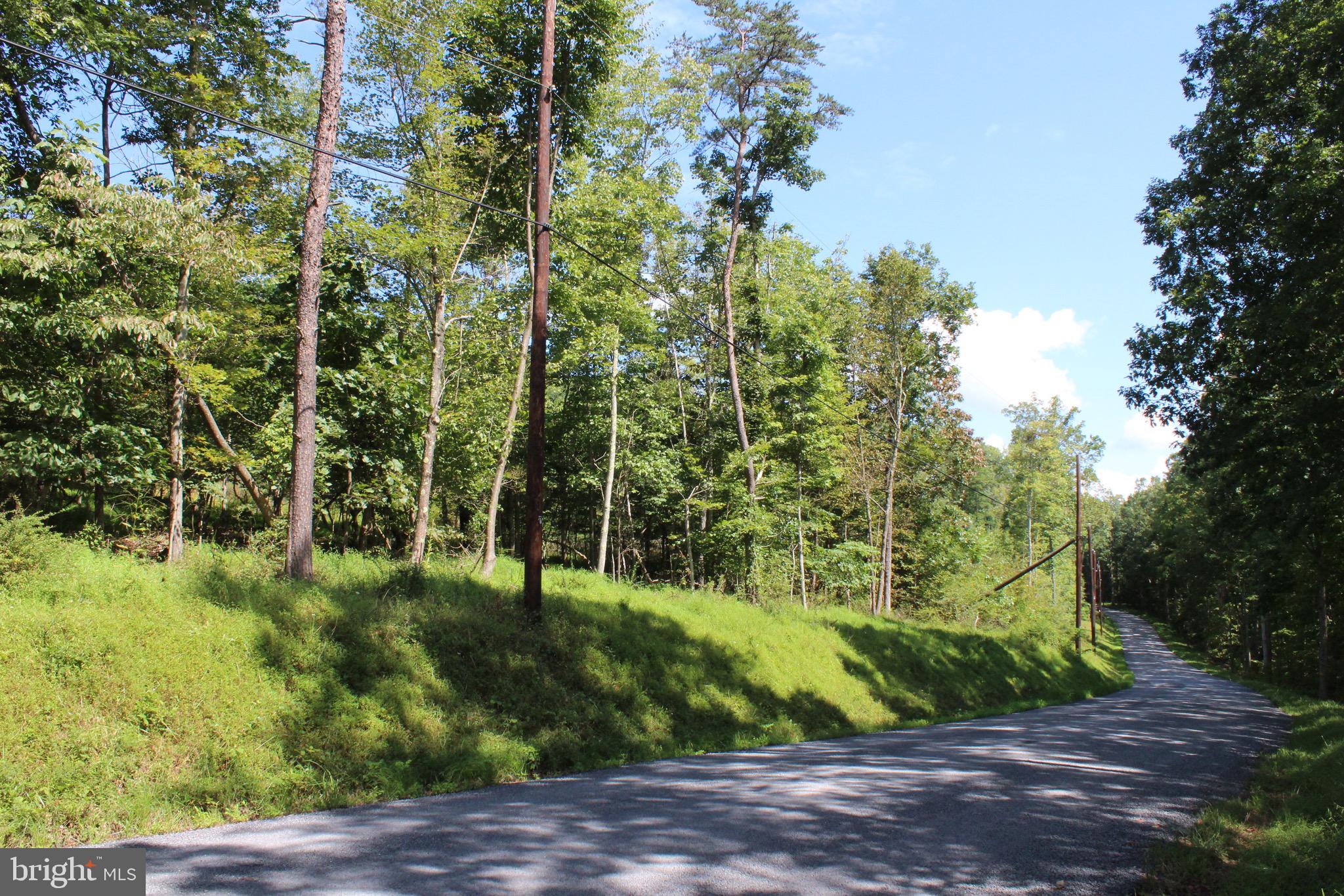 Lot 6 Cresap Mill Road Southeast Oldtown, MD 21555 - Photo 4 of 52