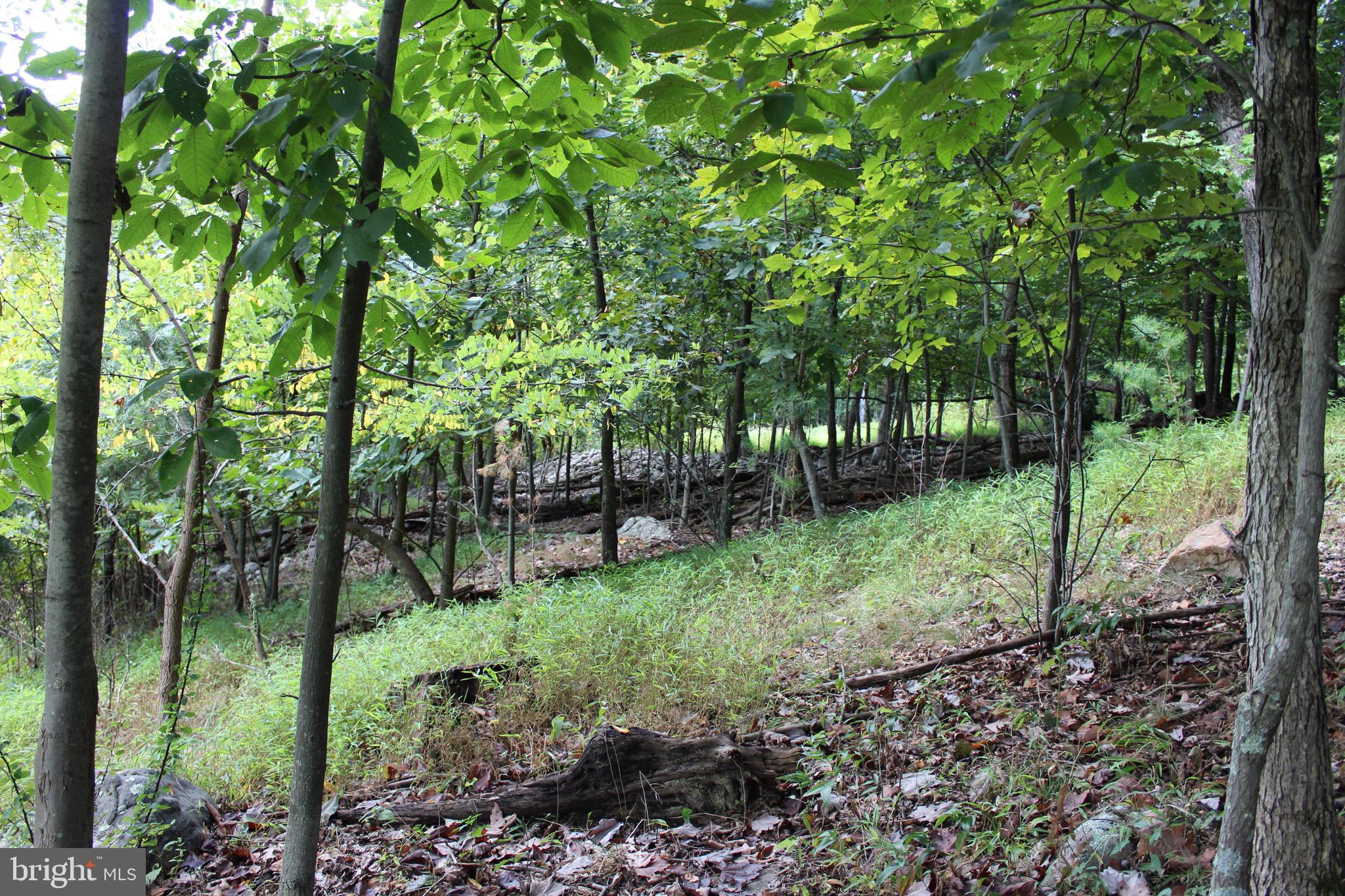 Lot 6 Cresap Mill Road Southeast Oldtown, MD 21555 - Photo 31 of 52