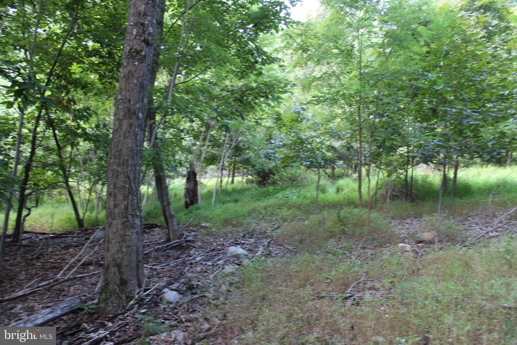 Lot 6 Cresap Mill Road Southeast Oldtown, MD 21555 - Photo 32 of 52