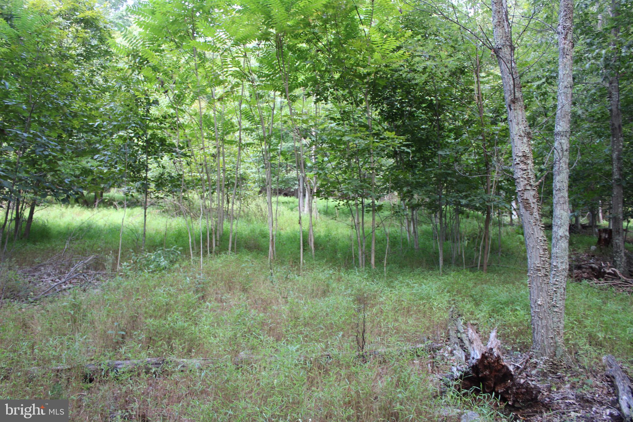Lot 6 Cresap Mill Road Southeast Oldtown, MD 21555 - Photo 33 of 52