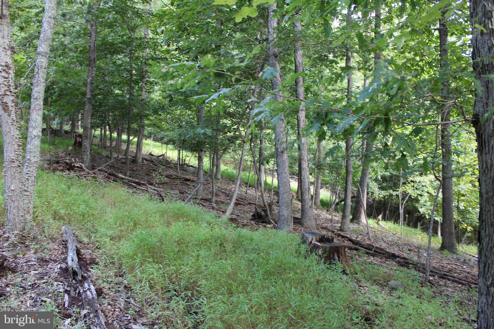 Lot 6 Cresap Mill Road Southeast Oldtown, MD 21555 - Photo 34 of 52