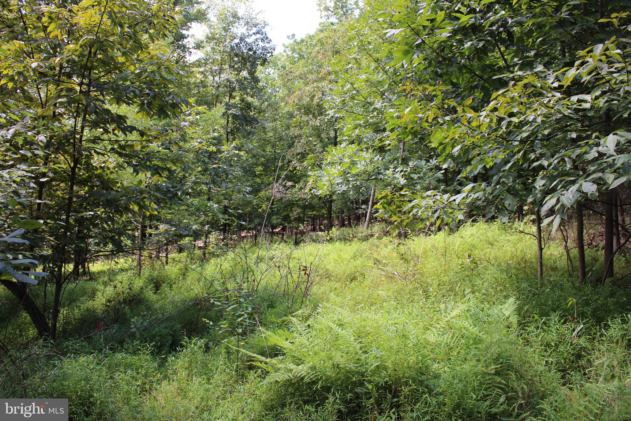 Lot 6 Cresap Mill Road Southeast Oldtown, MD 21555 - Photo 36 of 52