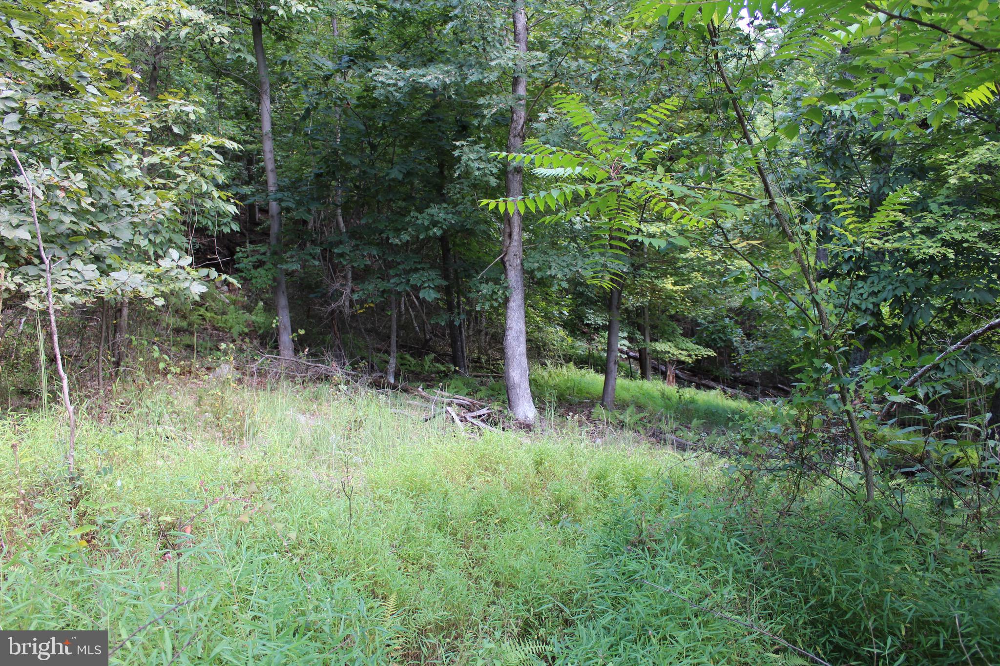 Lot 6 Cresap Mill Road Southeast Oldtown, MD 21555 - Photo 37 of 52