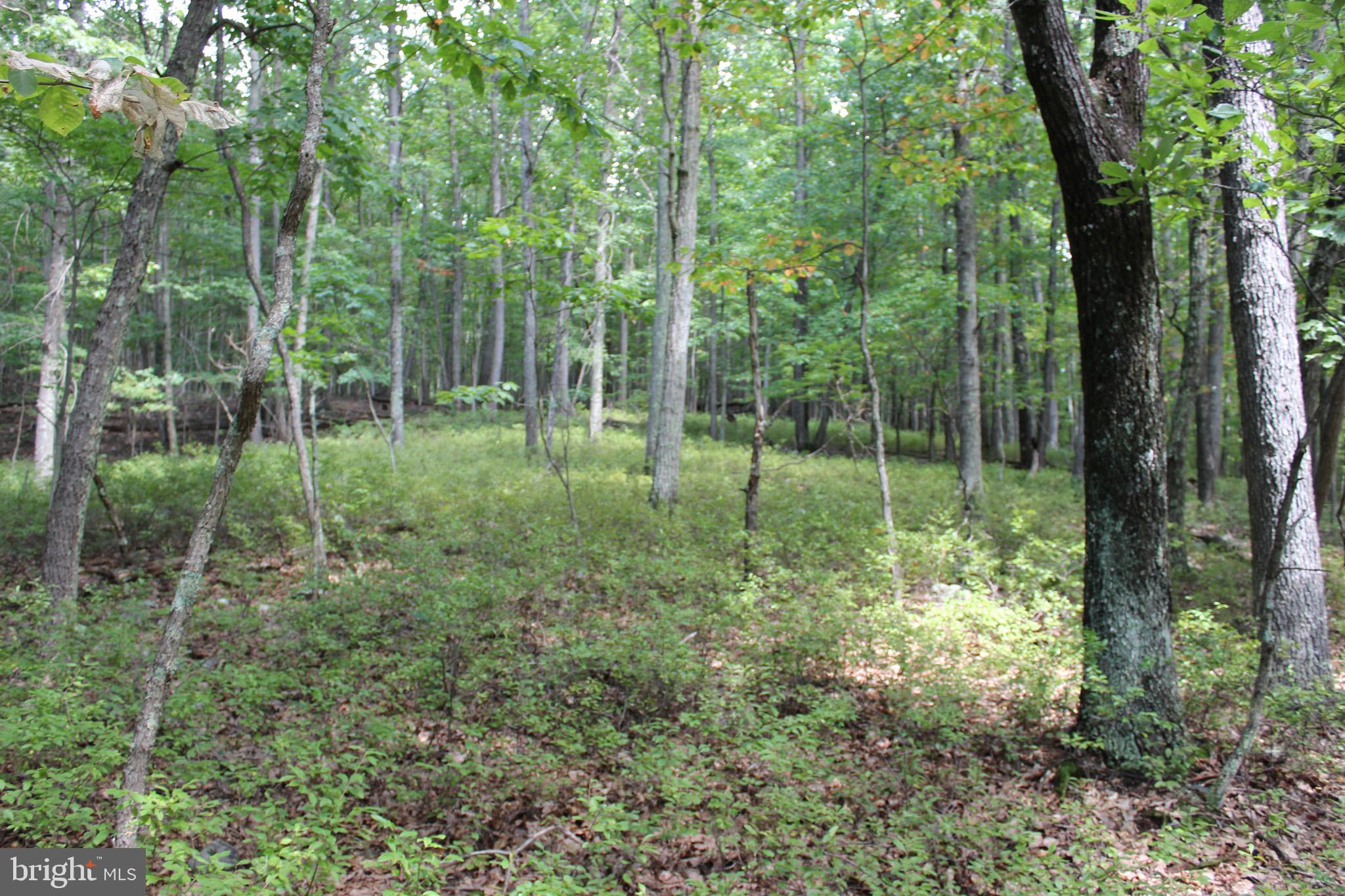 Lot 6 Cresap Mill Road Southeast Oldtown, MD 21555 - Photo 38 of 52