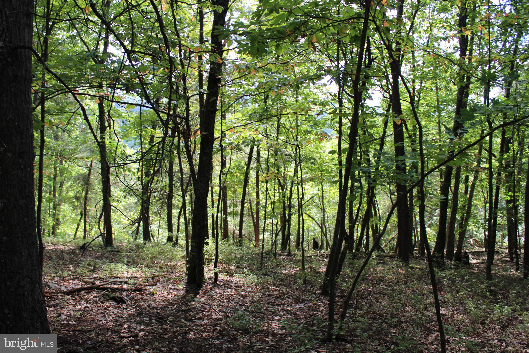 Lot 6 Cresap Mill Road Southeast Oldtown, MD 21555 - Photo 40 of 52
