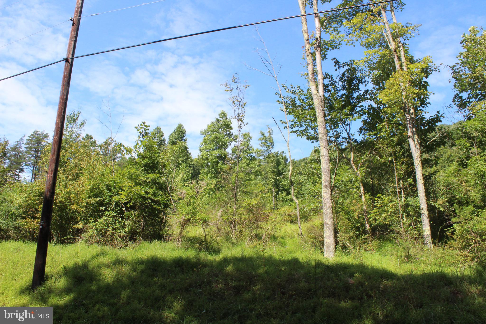 Lot 6 Cresap Mill Road Southeast Oldtown, MD 21555 - Photo 5 of 52
