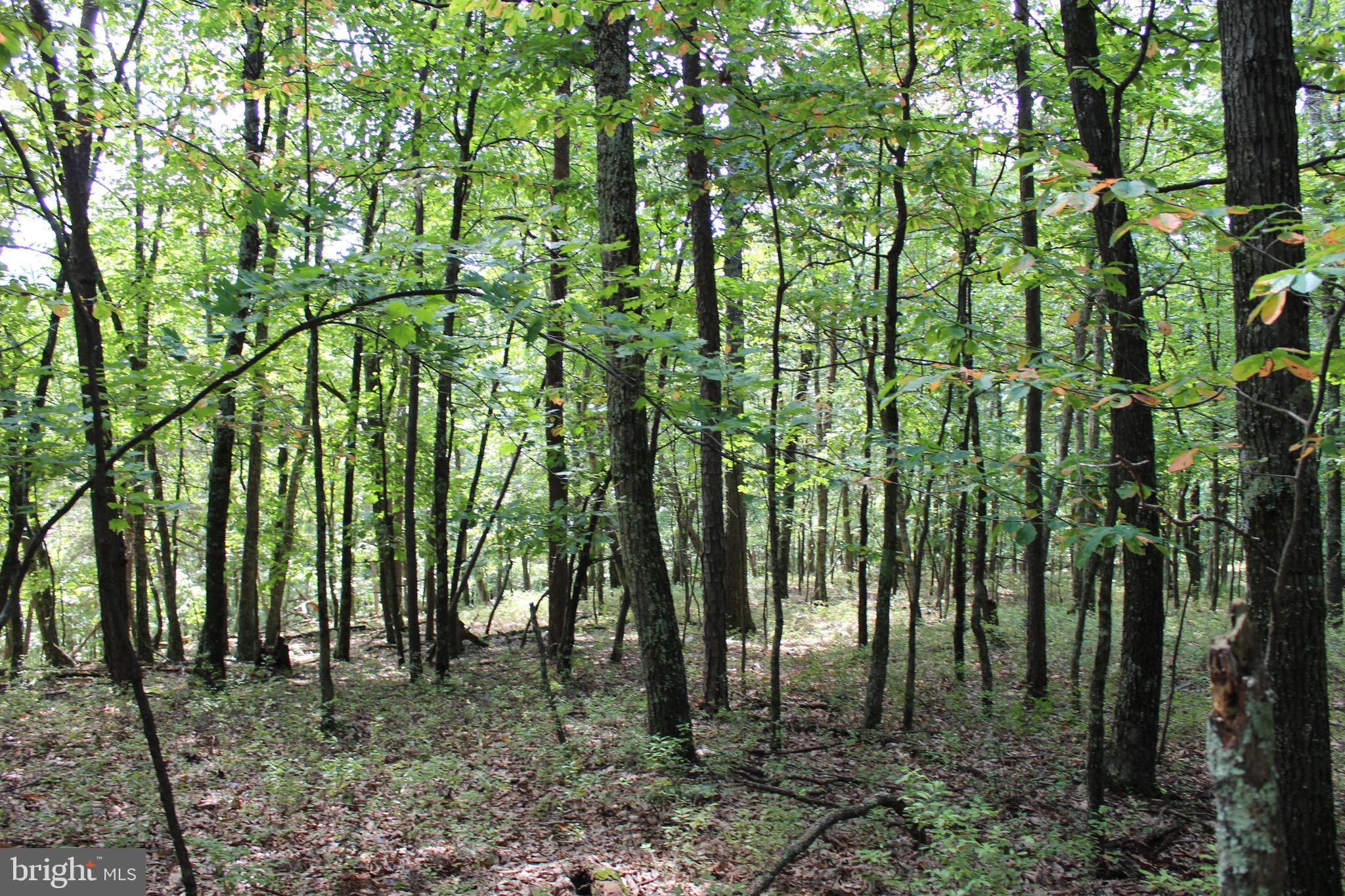 Lot 6 Cresap Mill Road Southeast Oldtown, MD 21555 - Photo 41 of 52