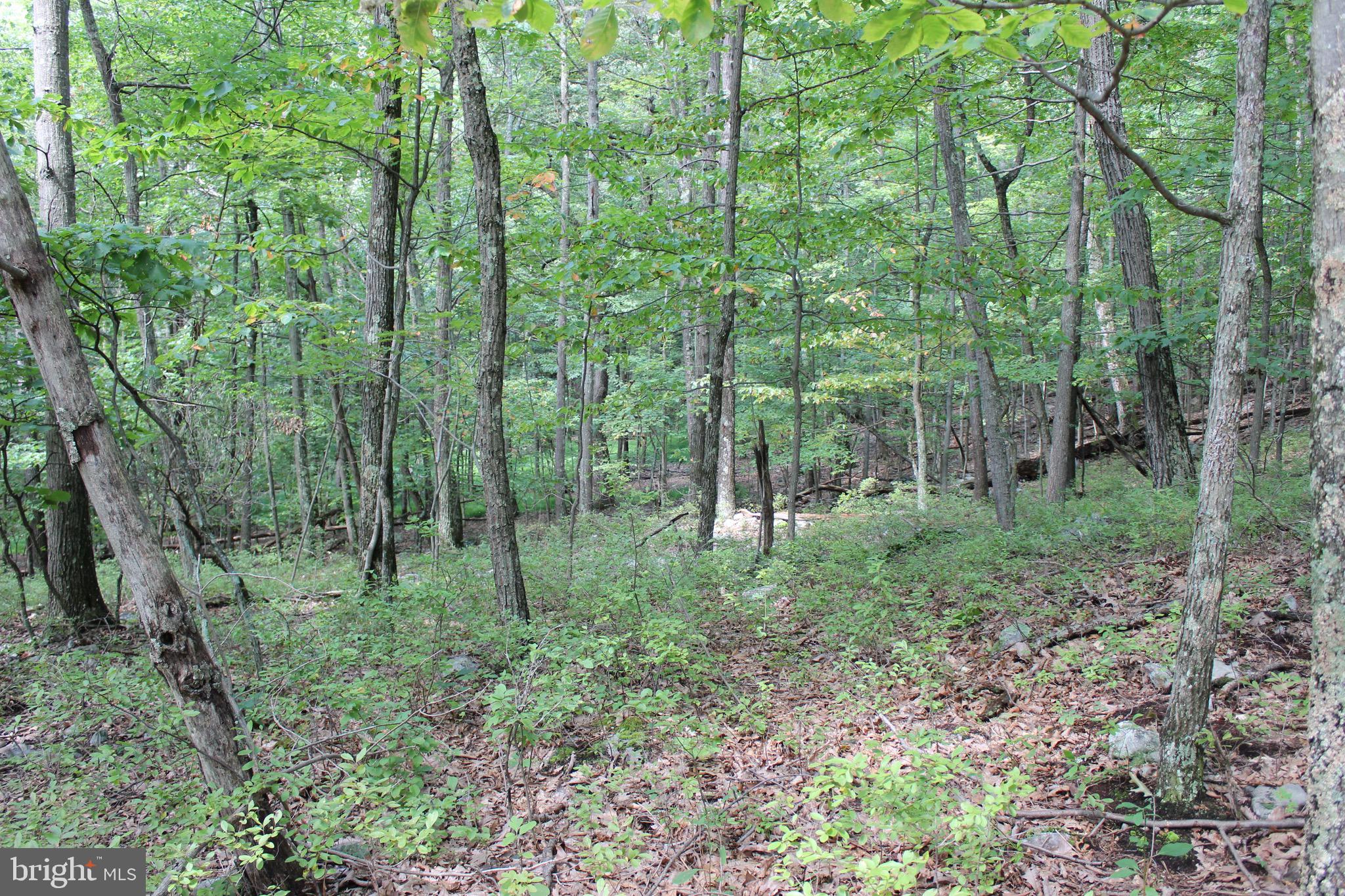 Lot 6 Cresap Mill Road Southeast Oldtown, MD 21555 - Photo 43 of 52