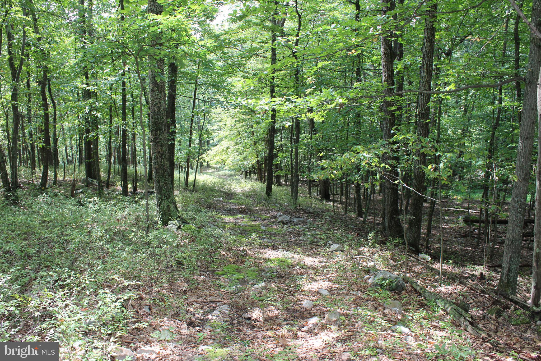 Lot 6 Cresap Mill Road Southeast Oldtown, MD 21555 - Photo 44 of 52