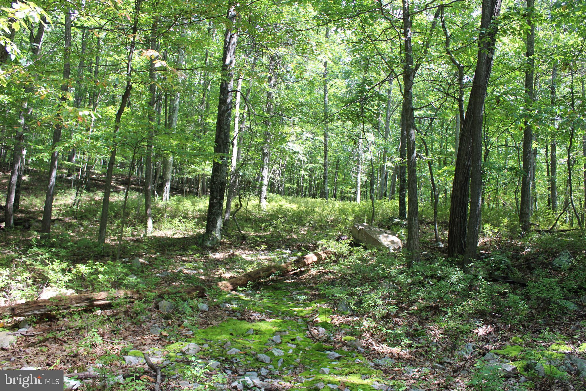 Lot 6 Cresap Mill Road Southeast Oldtown, MD 21555 - Photo 45 of 52