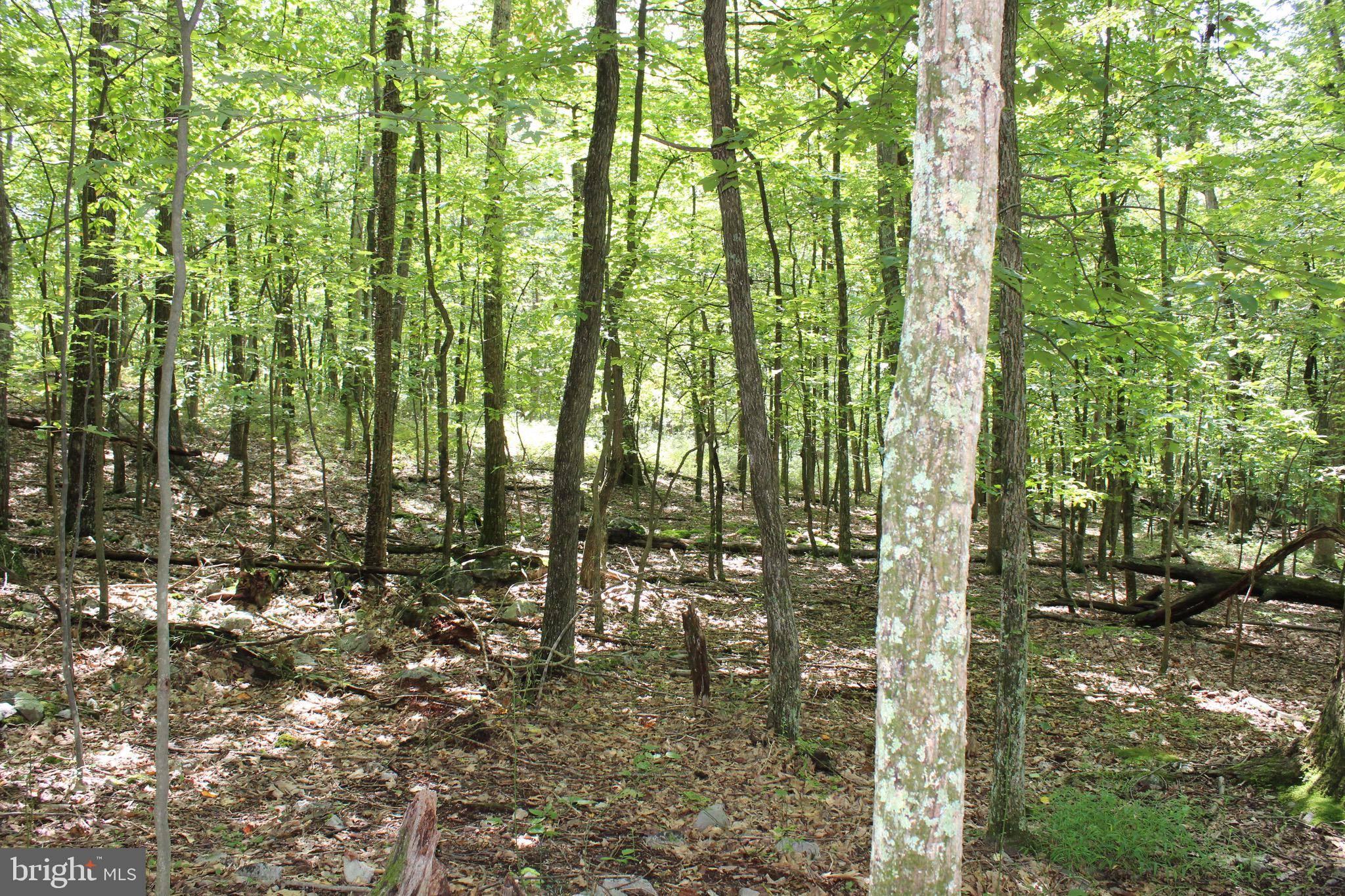 Lot 6 Cresap Mill Road Southeast Oldtown, MD 21555 - Photo 50 of 52