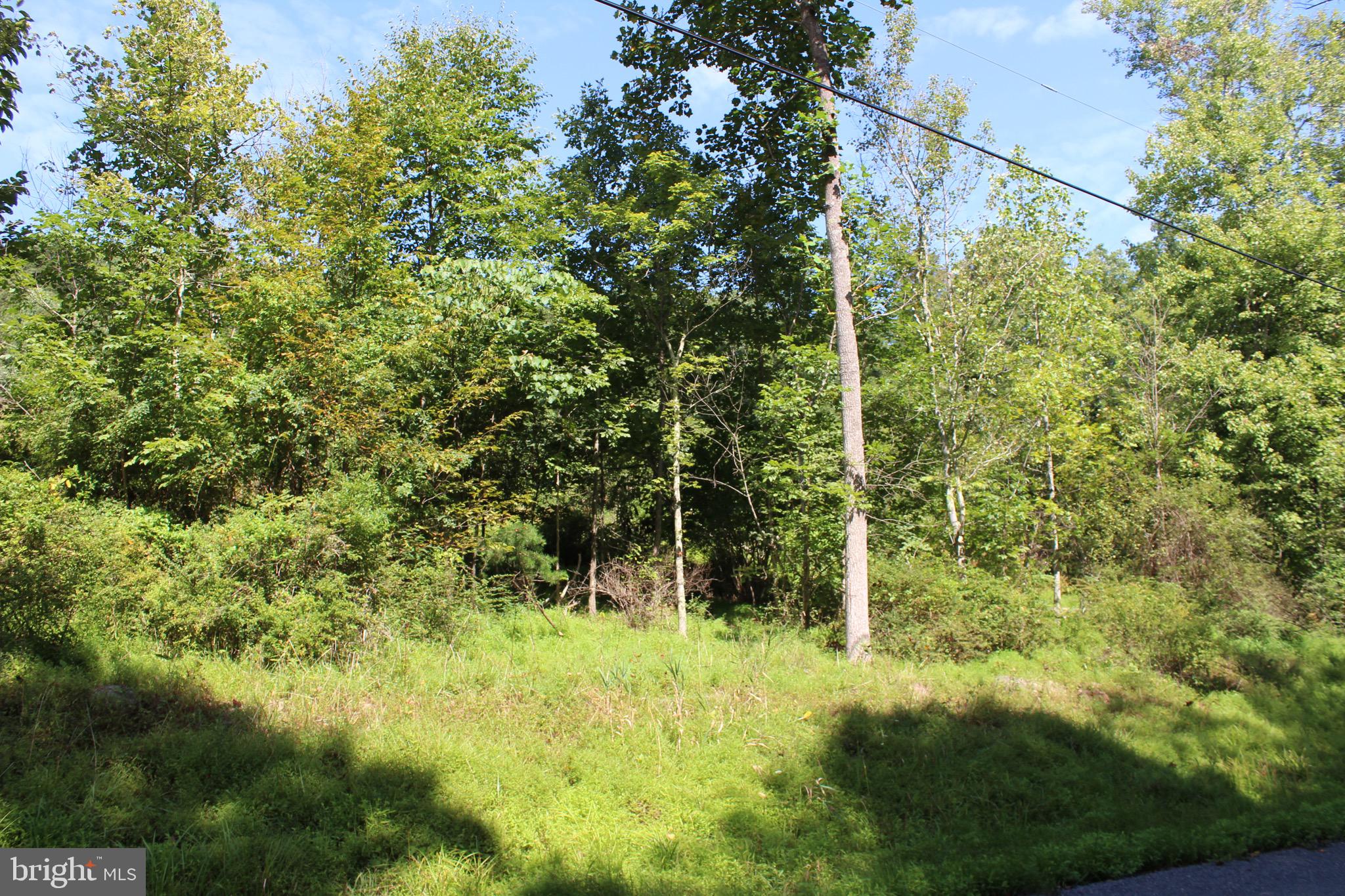 Lot 6 Cresap Mill Road Southeast Oldtown, MD 21555 - Photo 6 of 52