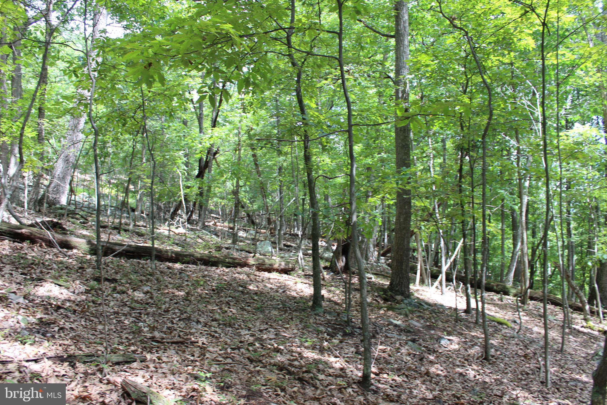 Lot 6 Cresap Mill Road Southeast Oldtown, MD 21555 - Photo 51 of 52