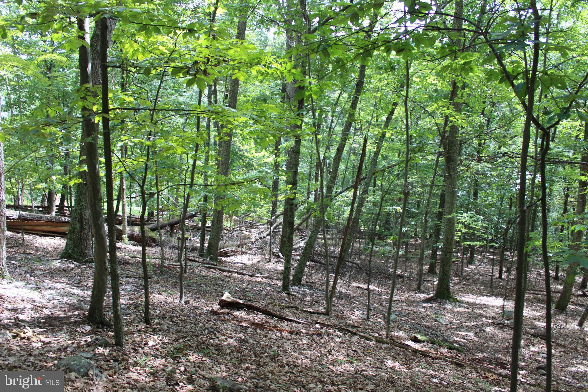 Lot 6 Cresap Mill Road Southeast Oldtown, MD 21555 - Photo 52 of 52