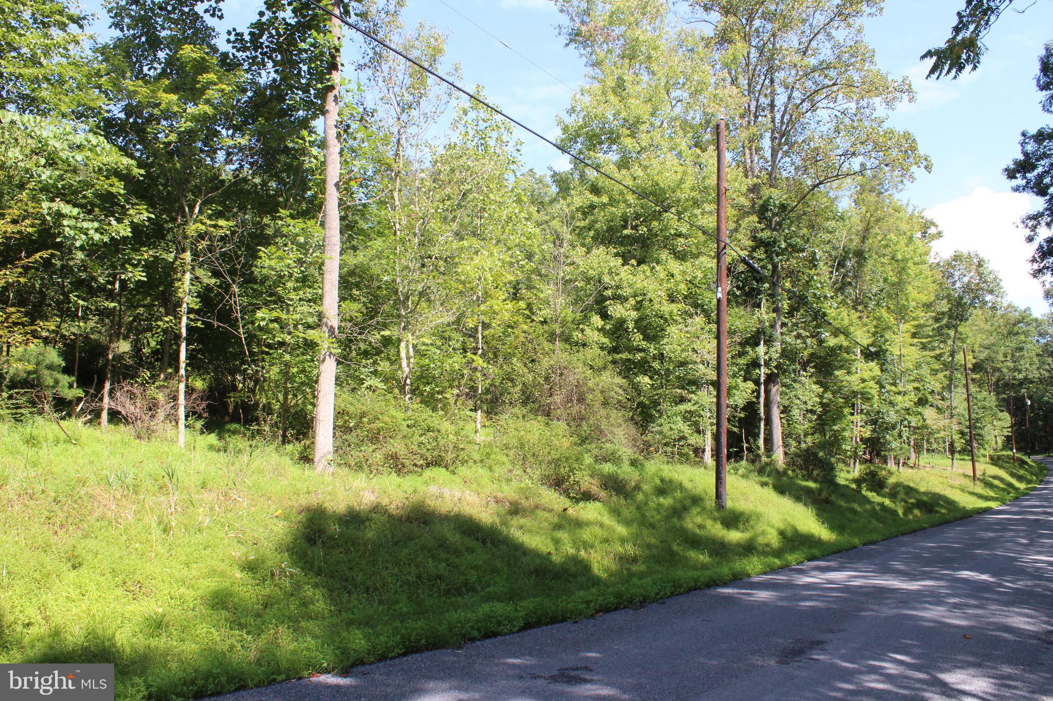 Lot 6 Cresap Mill Road Southeast Oldtown, MD 21555 - Photo 7 of 52