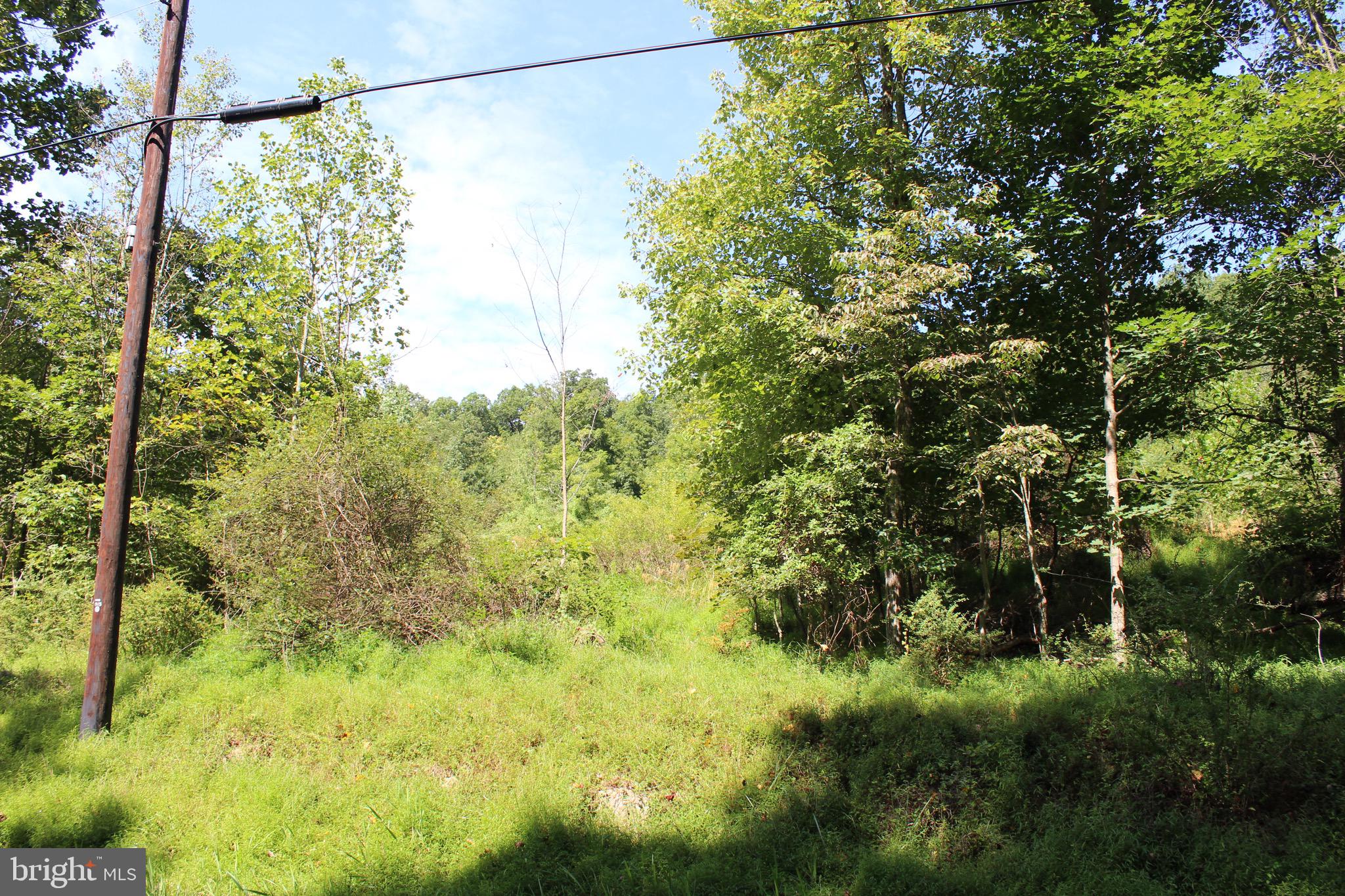 Lot 6 Cresap Mill Road Southeast Oldtown, MD 21555 - Photo 8 of 52