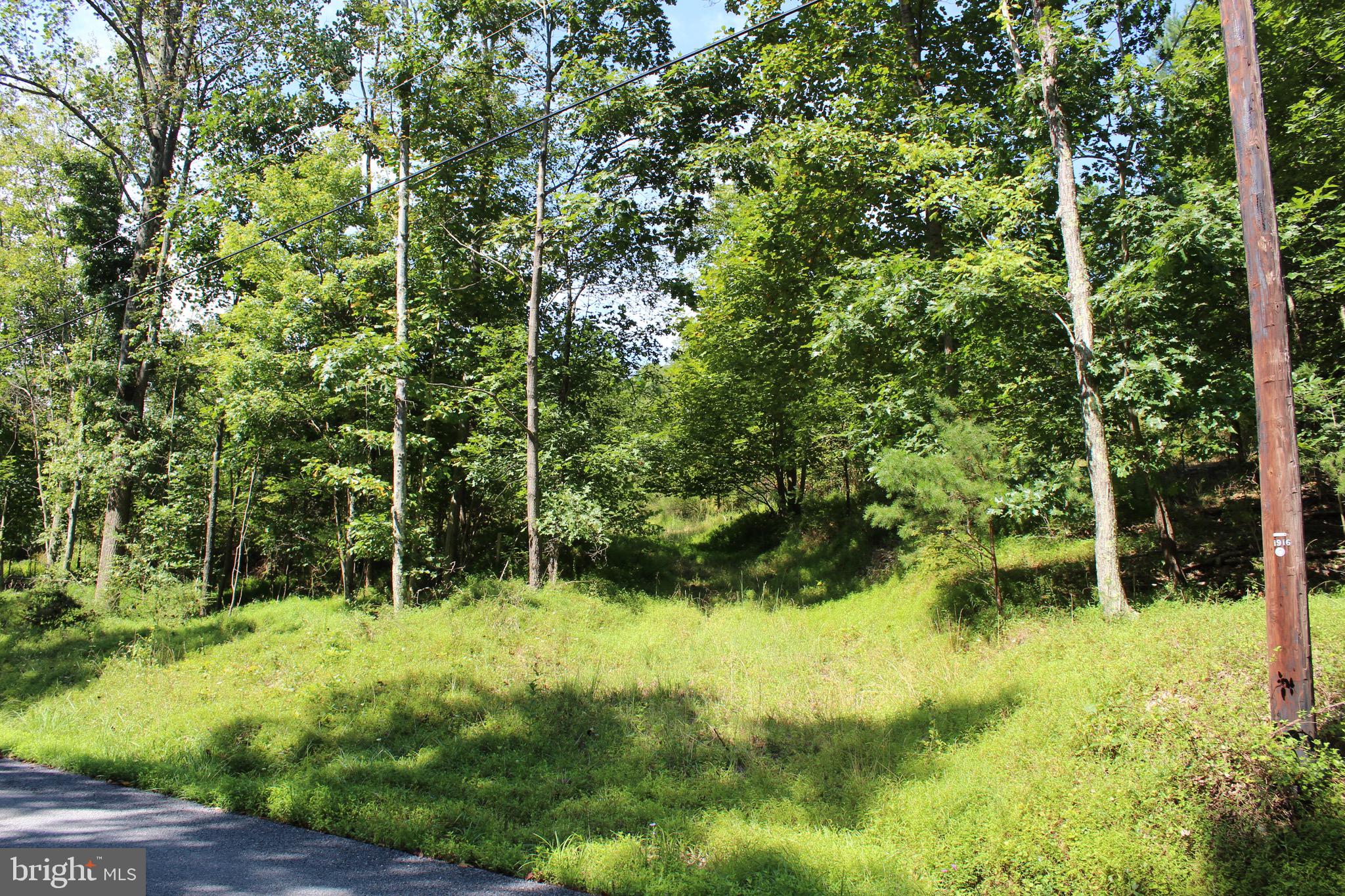 Lot 6 Cresap Mill Road Southeast Oldtown, MD 21555 - Photo 9 of 52