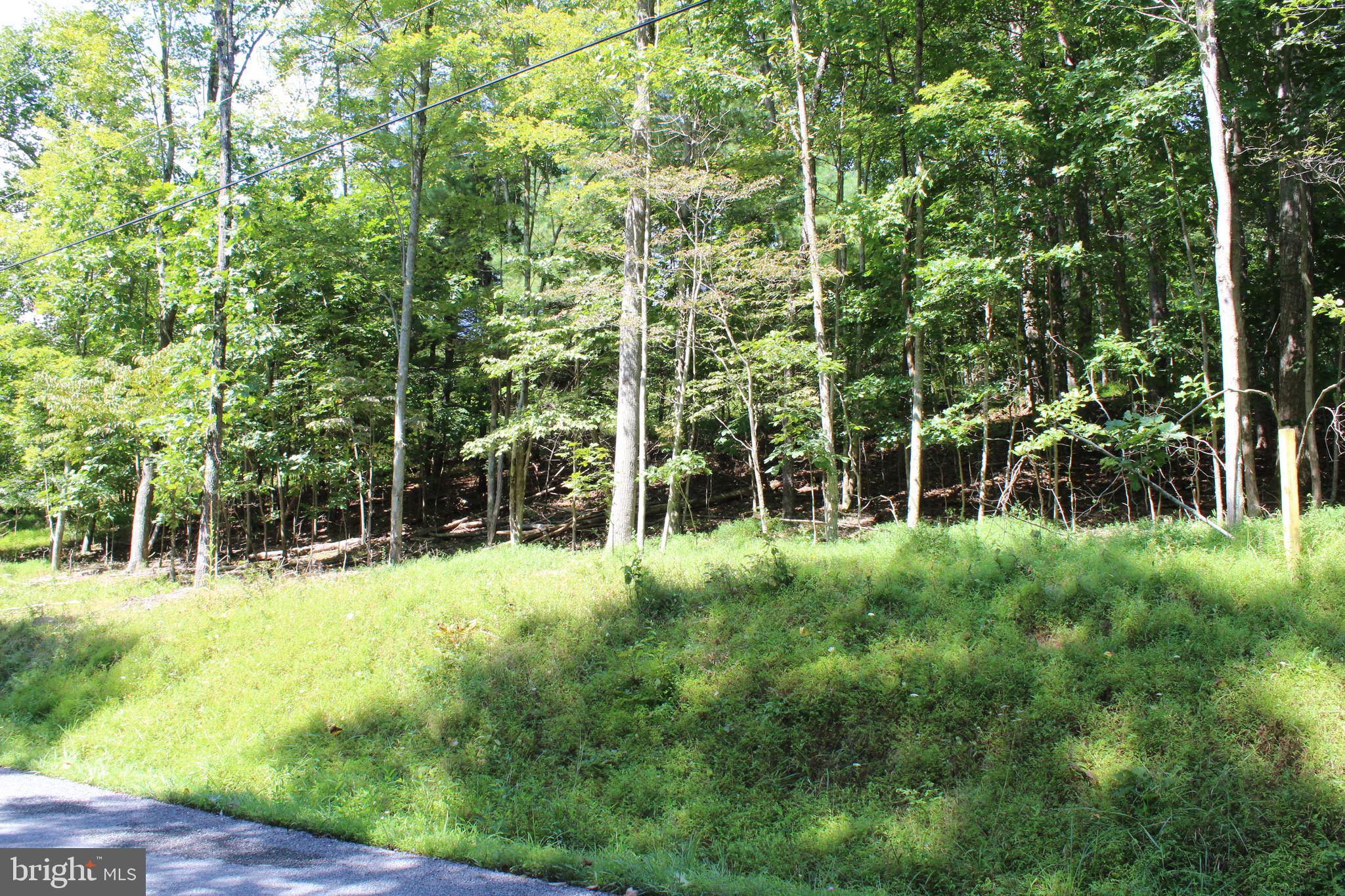 Lot 6 Cresap Mill Road Southeast Oldtown, MD 21555 - Photo 10 of 52