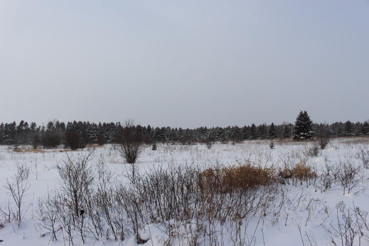 70-acres South Maple Road Brimley, MI 49715 - Photo 1 of 7 Gallery Image 1