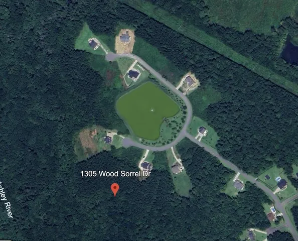 $1,100,000 | 1305 Wood Sorrel Drive, Moncks Corner, SC 29461